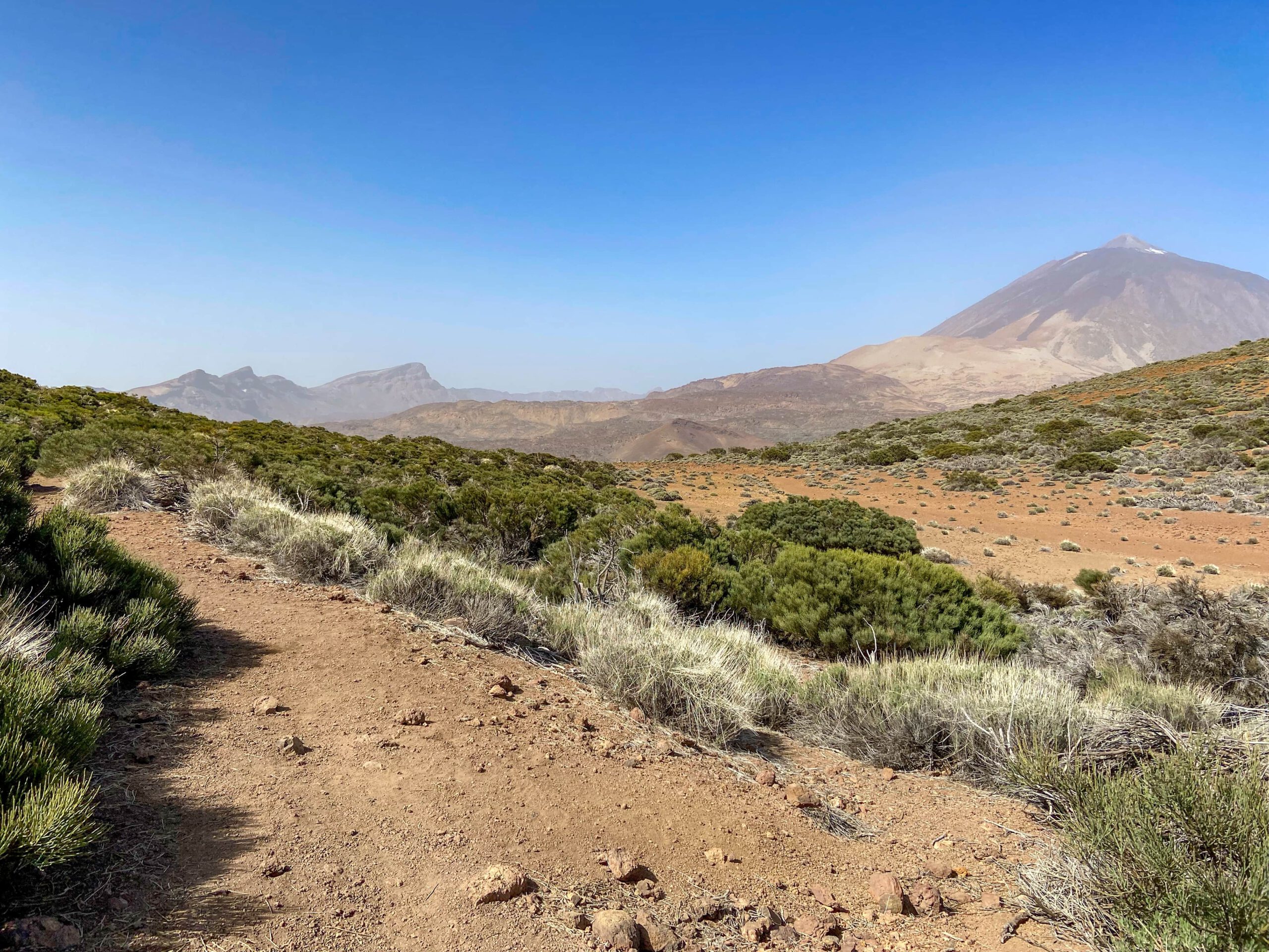 Blick vom Aufstiegsweg Montaña de las Arenas Negras zum Teide und den Cañadas