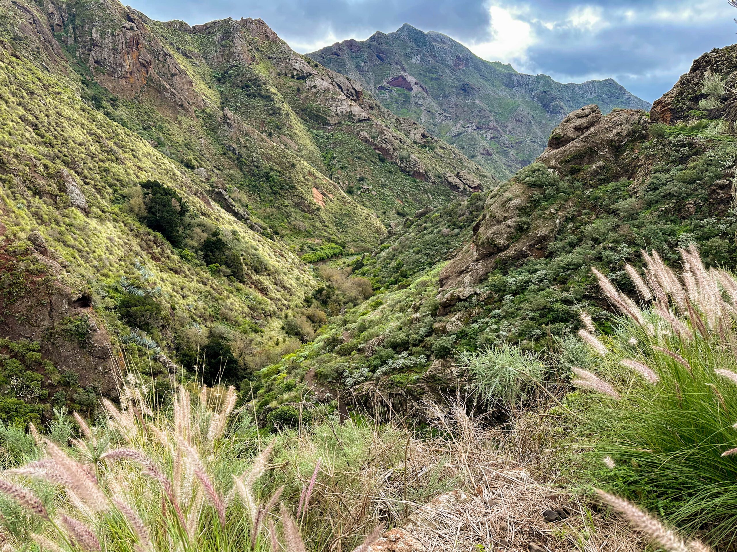 Blick vom Kanalweg auf die Höhen und Täler des Anaga Gebirges