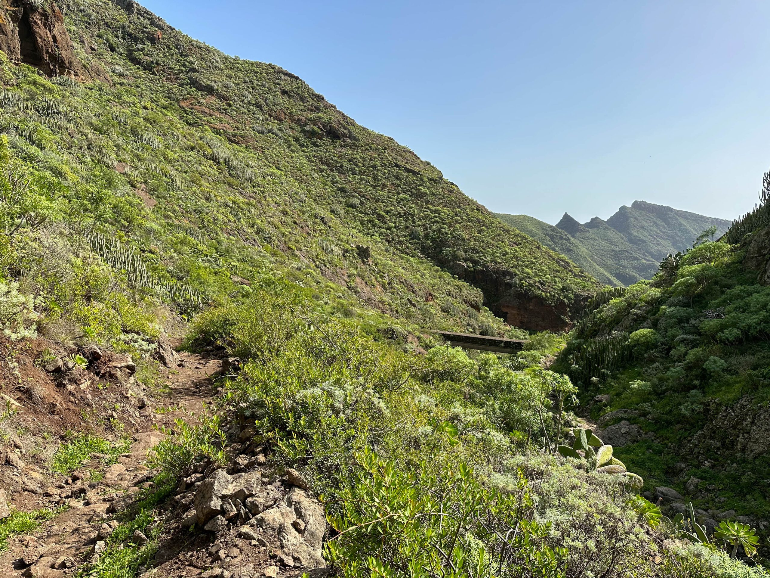 Hier beginnt der Aufstiegsweg, während der Kanalweg weiter Richtung Santa Cruz de Tenerife führt
