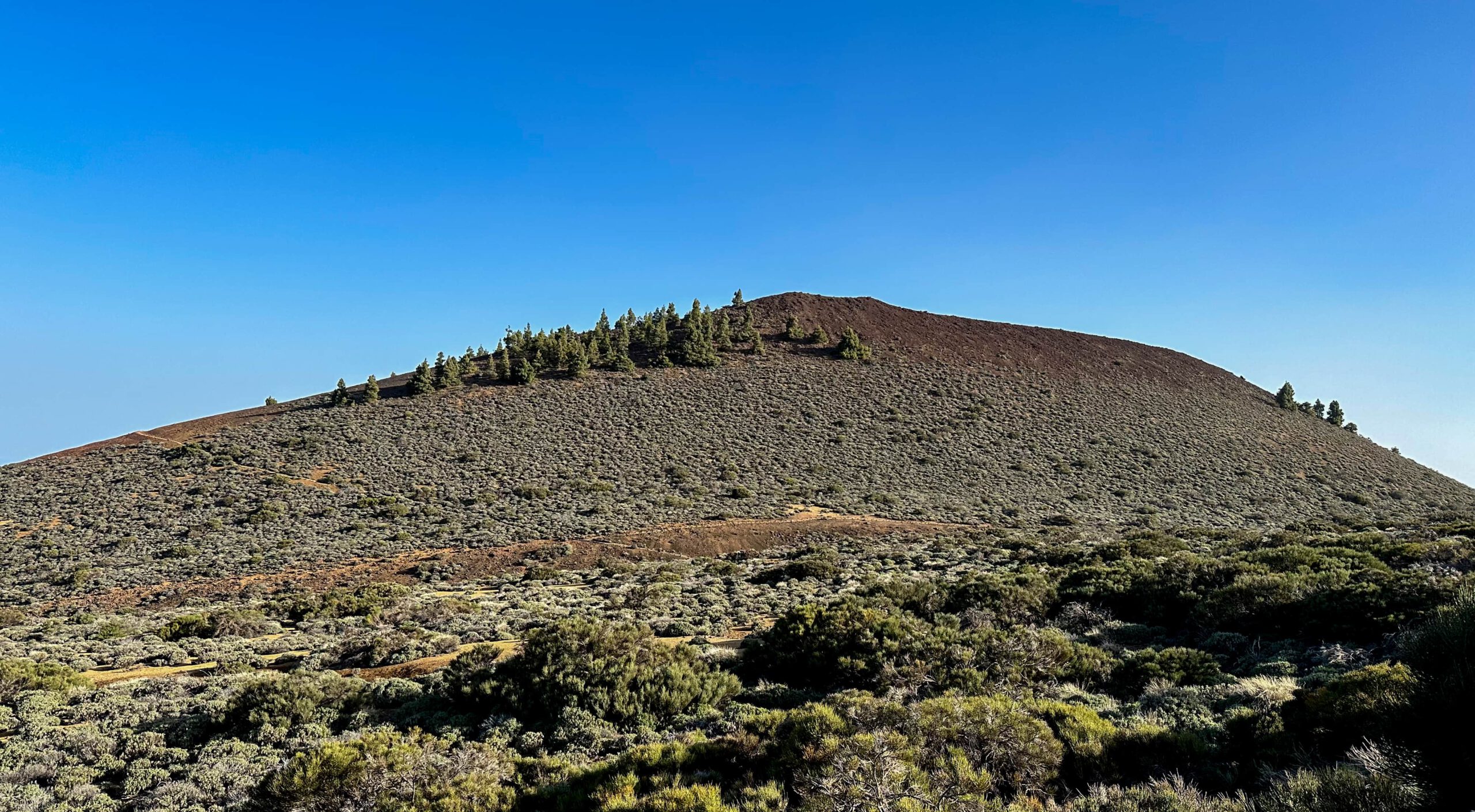 El Alto de Guamaso