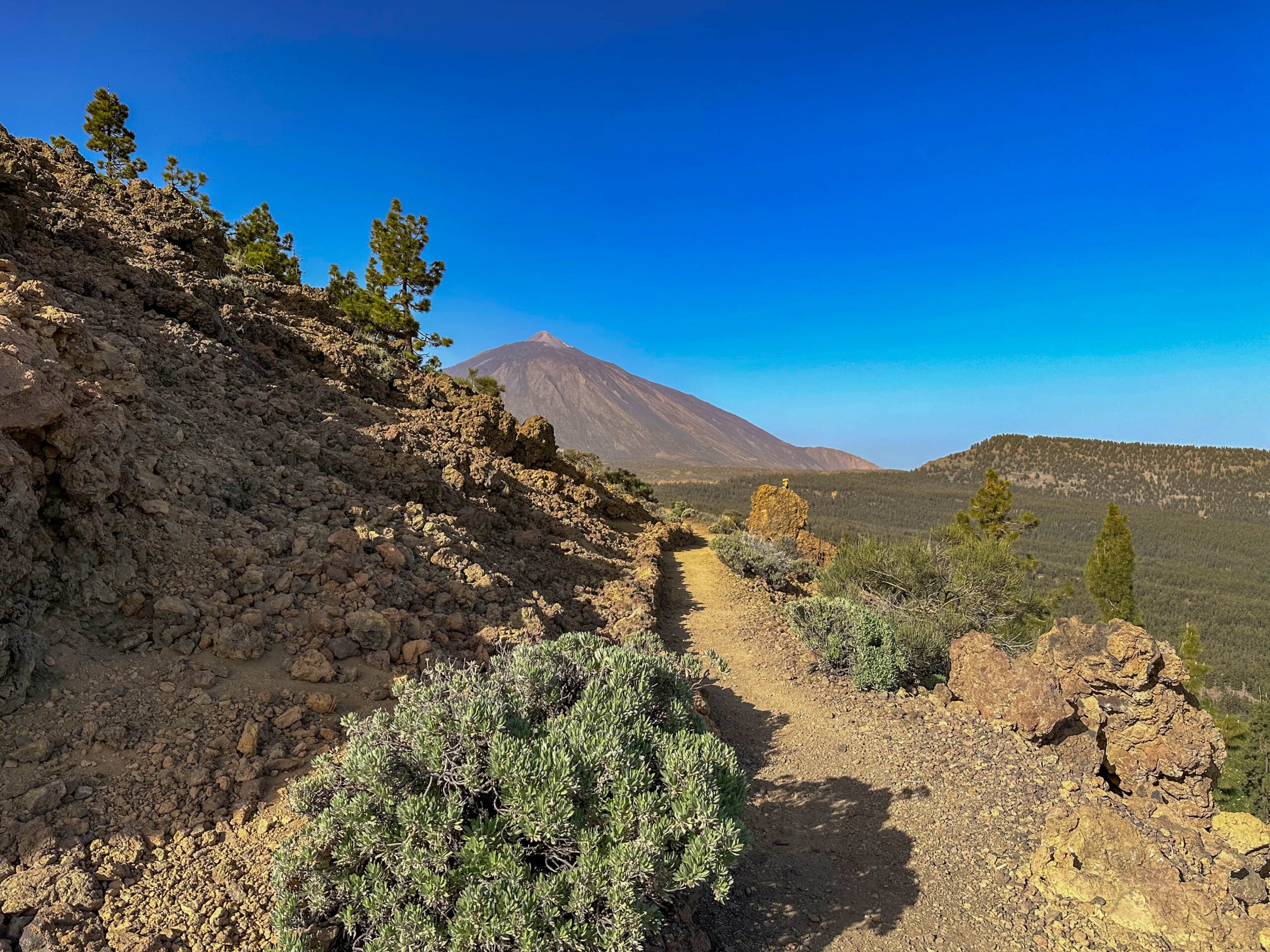 View from the hiking trail GR 131 to the Teide