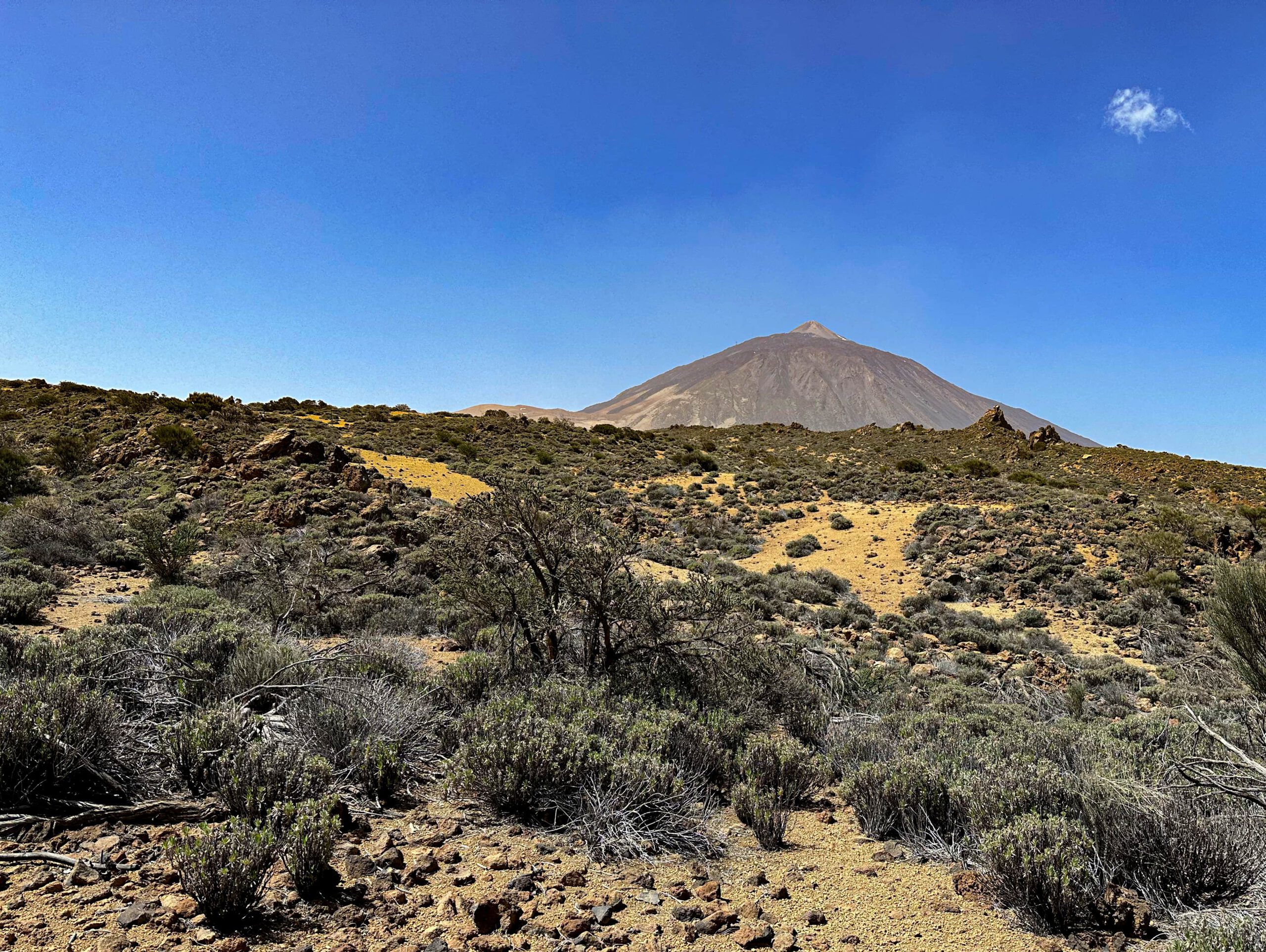 Blick vom Wanderweg zum Teide