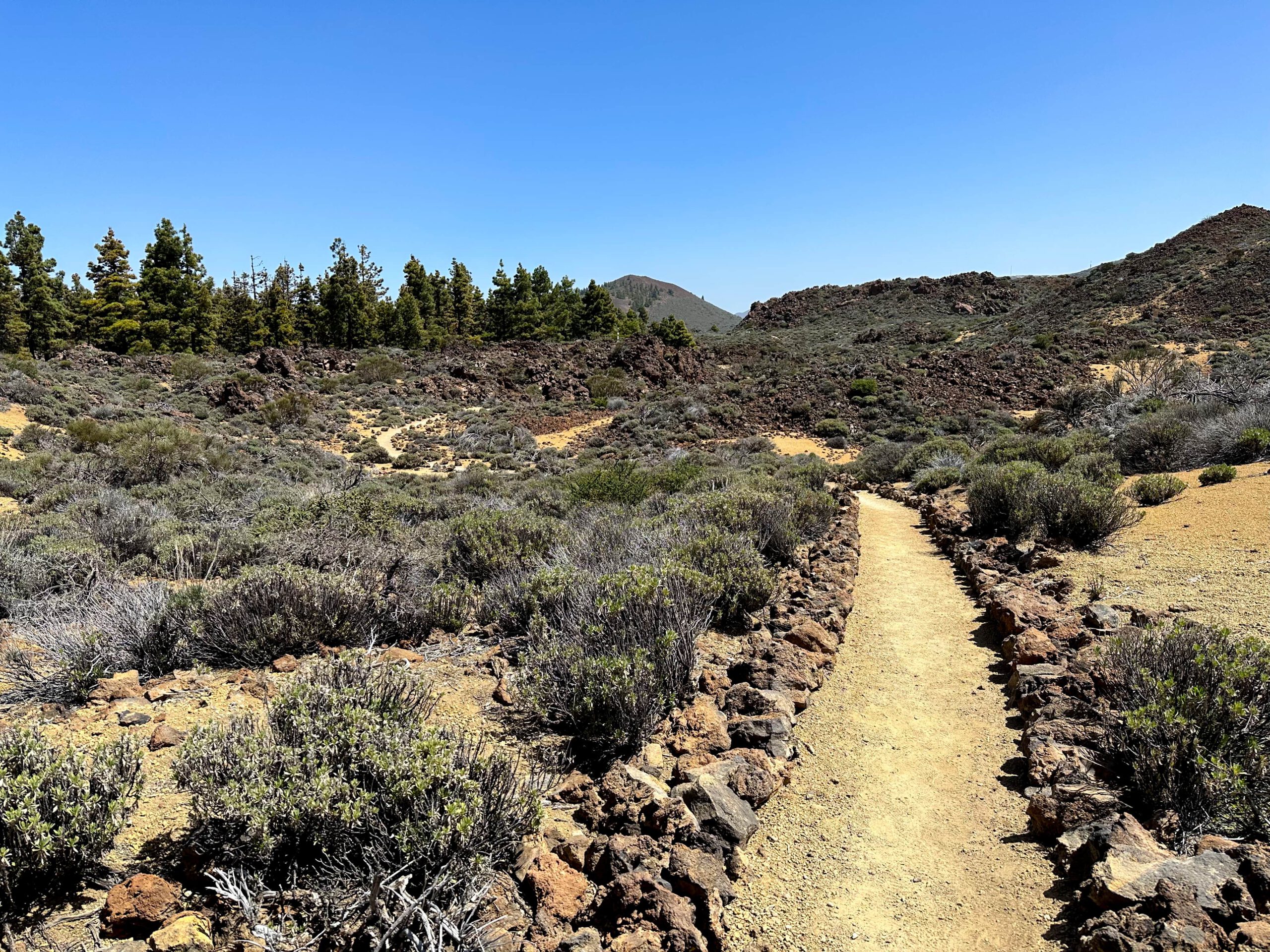 Wanderweg unterhalb von El Portillo