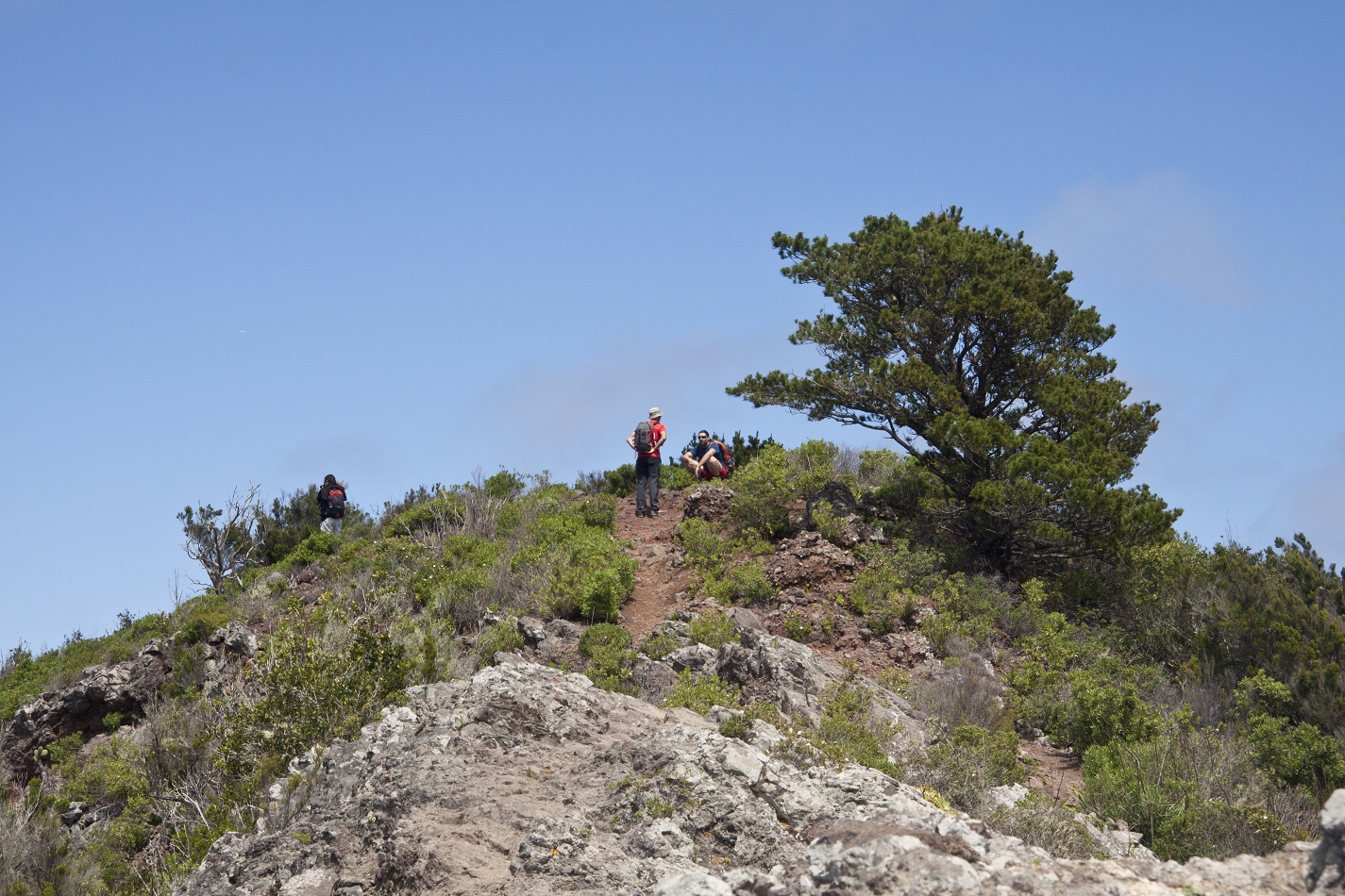 Wanderer auf dem Wanderweg in der Nähe von Talavera