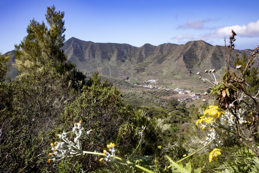 Vista desde la altura hasta El Palmar