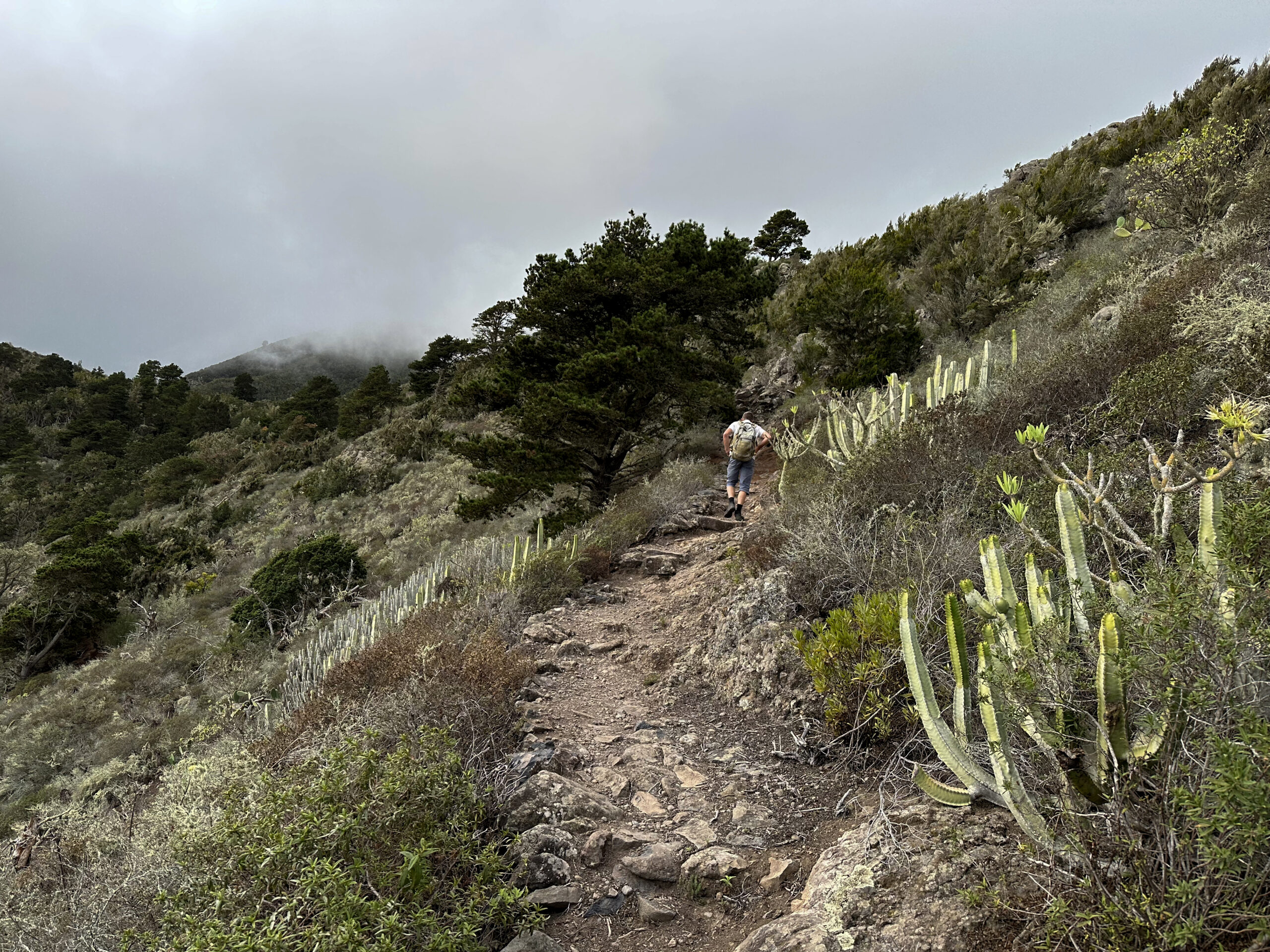 Wanderer auf dem Wanderweg kurz vor der verlassenen Ortschaft Talavera - fast in den Wolken