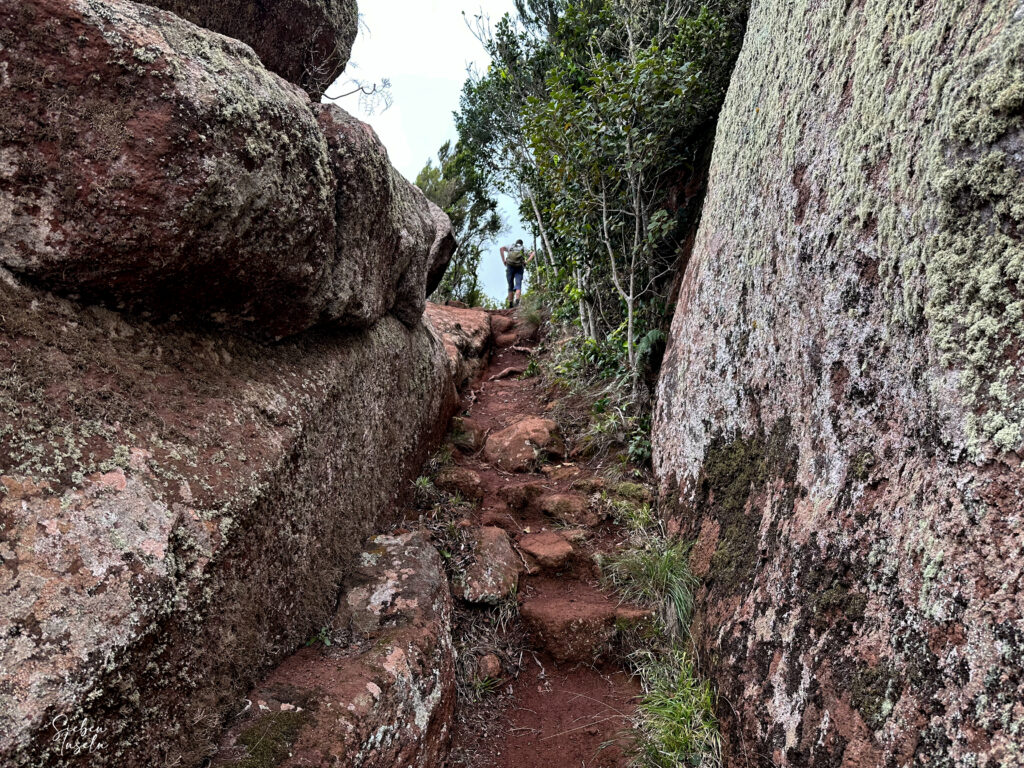Ruta de senderismo entre altas rocas