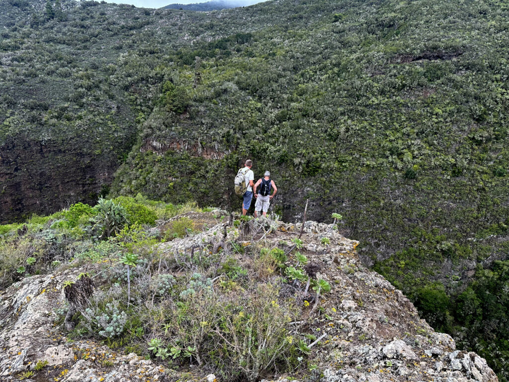Senderistas en el descenso a Los Silos por encima del Barranco de los Cochinos