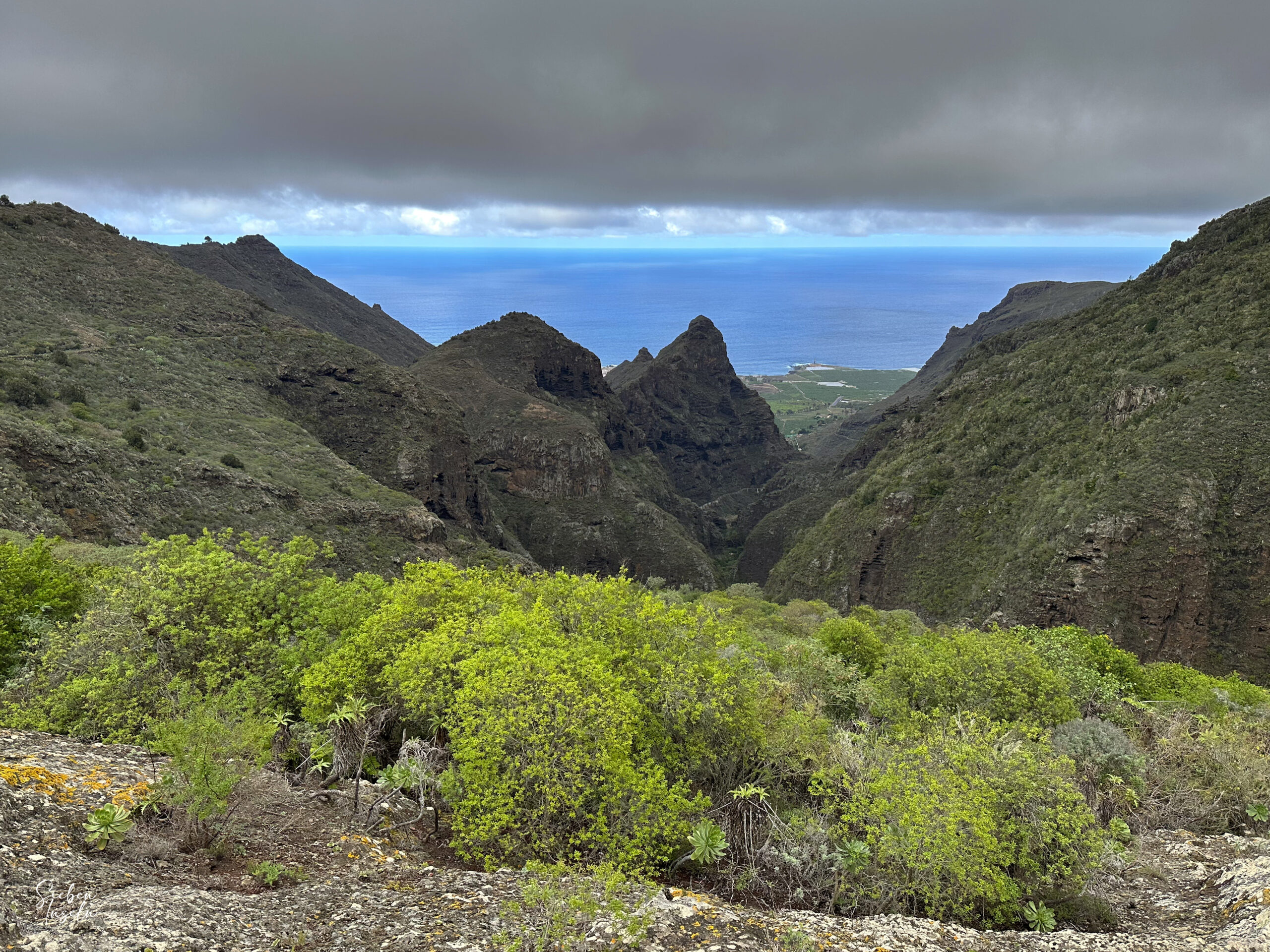 Blick in den Barranco de los Cochinos auf dem Rückweg nach Los Silos