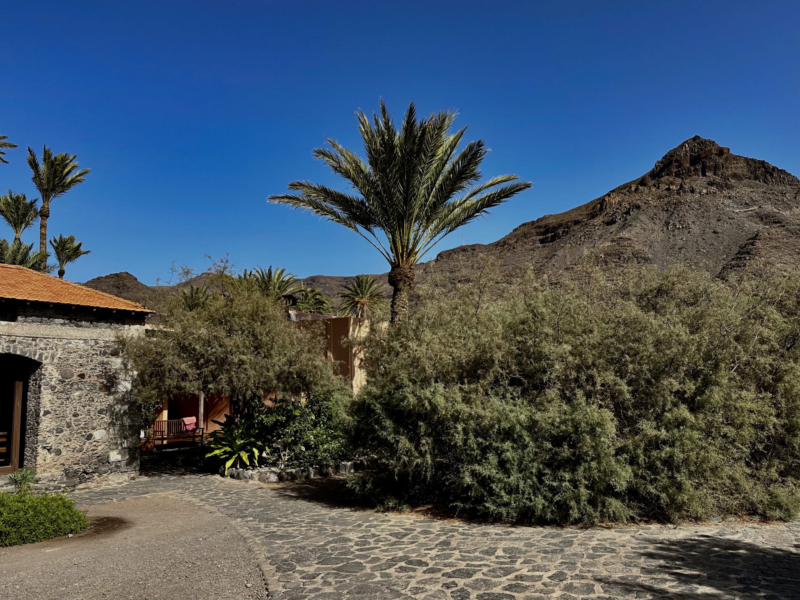 vor dem Hotel Finca Cabrito