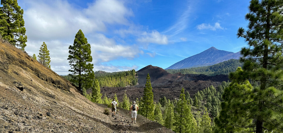 Wanderer auf dem Abstiegsweg von der Montaña de la Cruz Richtung Teide