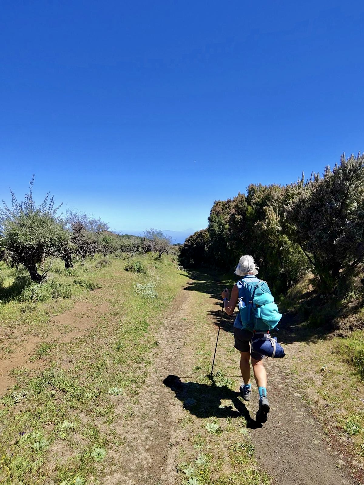 Wandern inmitten viel Grün auf dem Camino de la Virgin
