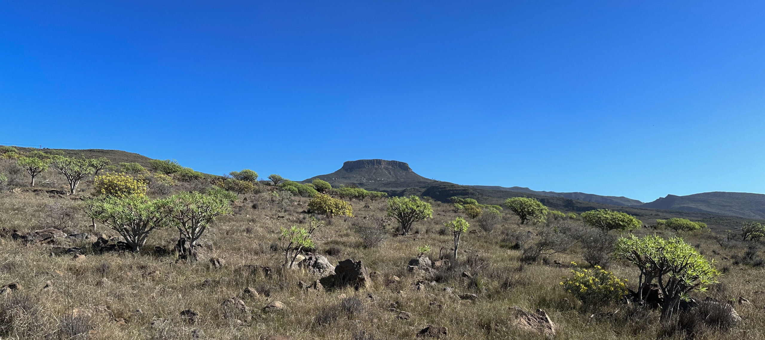 Blick vom Wanderweg auf die Fortaleza
