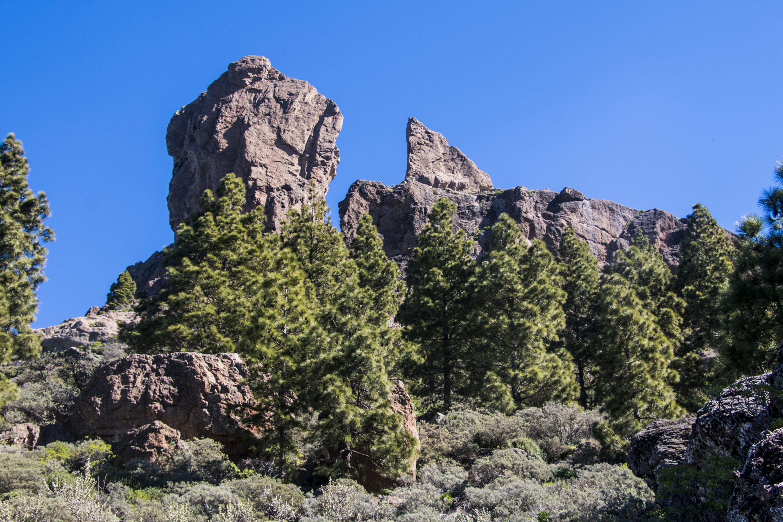 Roque Nublo von der Nordwestseite aus gesehen