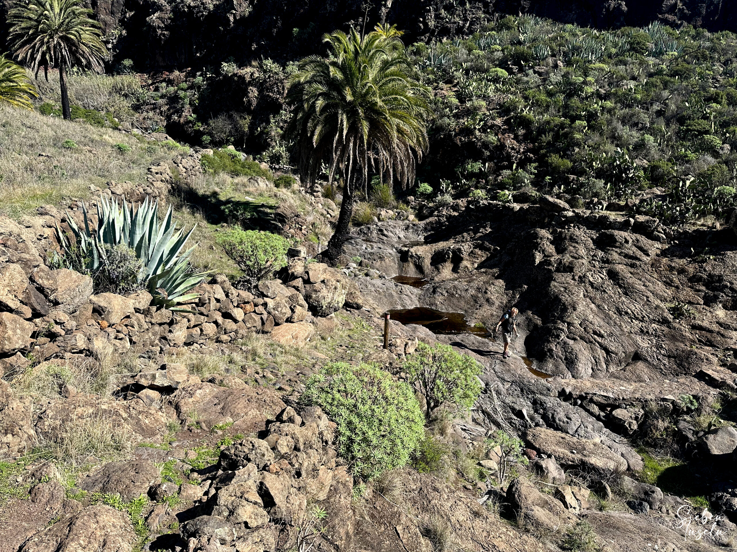 Wanderin auf dem Wanderweg GR-132 6. Etappe bei einer Barranco Querung vor Alojeró