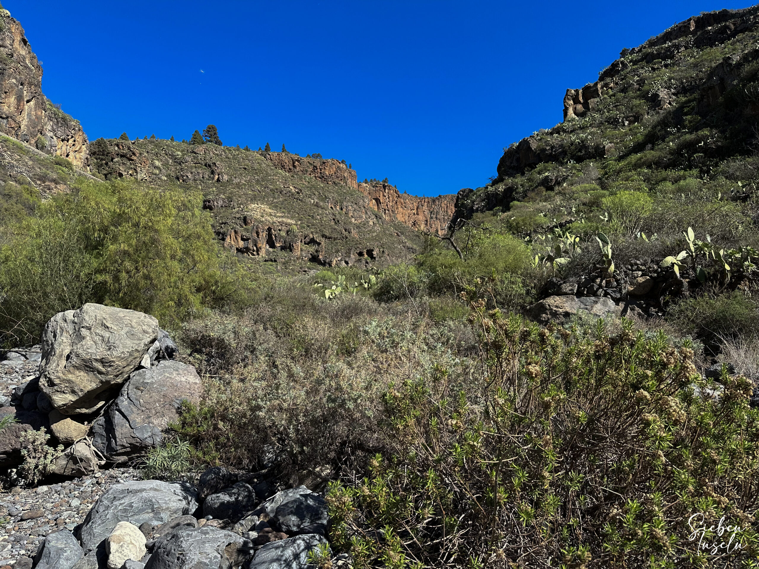 el salvaje Barranco Guaria