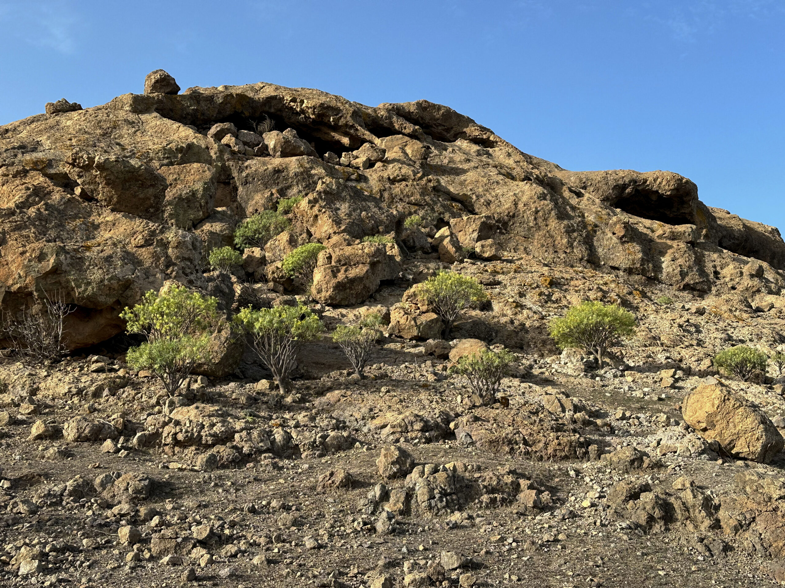 Cuevas de Majada Alta