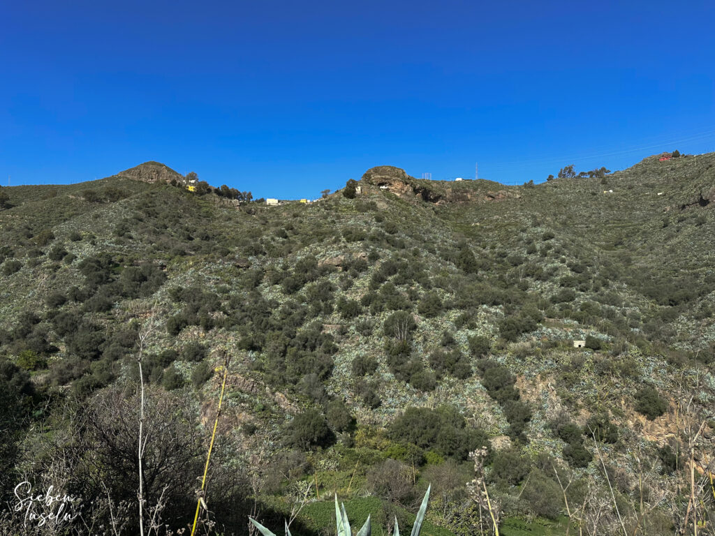 View from the Barranco del Agua up to El Montañón