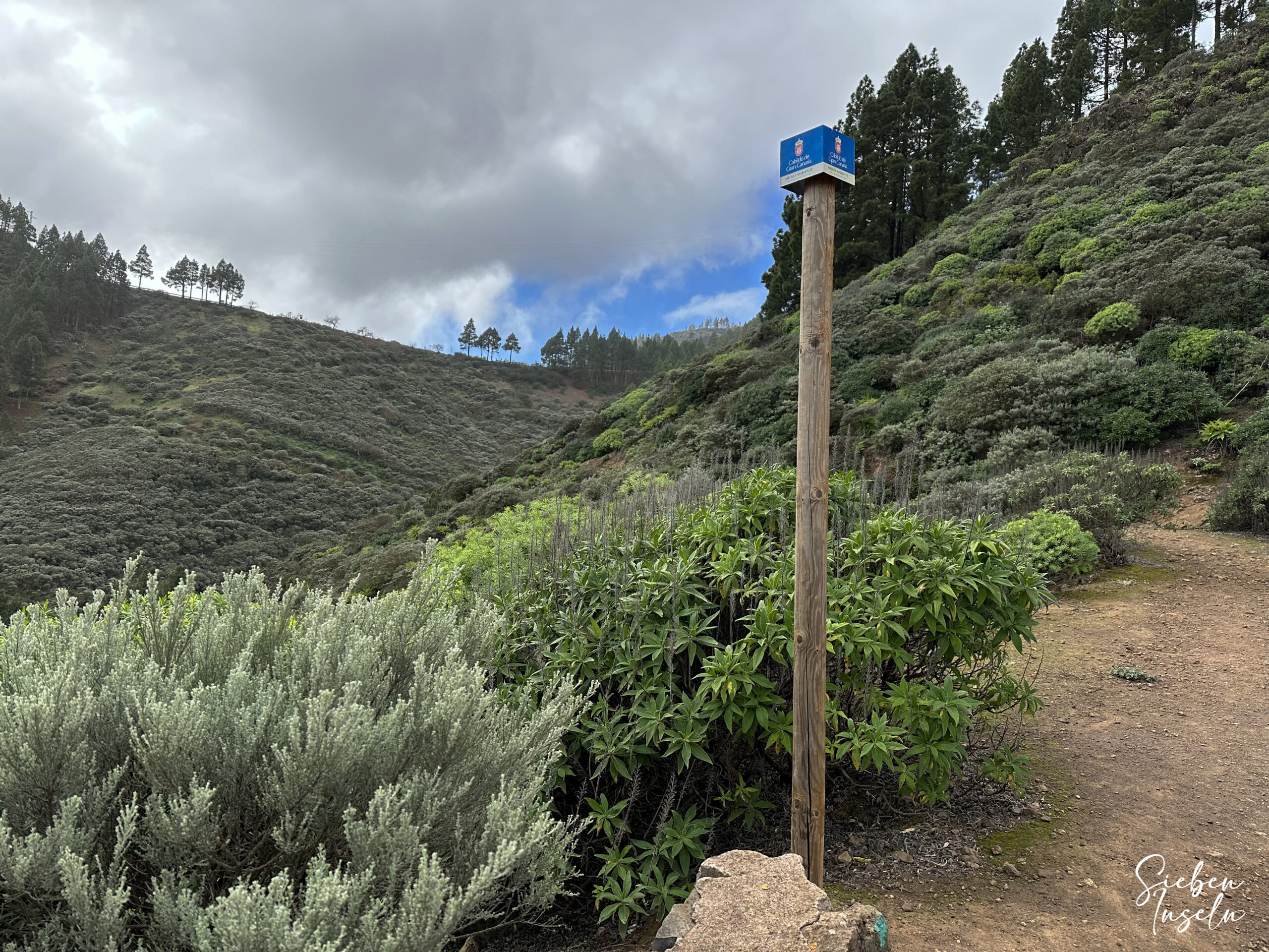 Hiking trail below the Caldera de Los Marteles