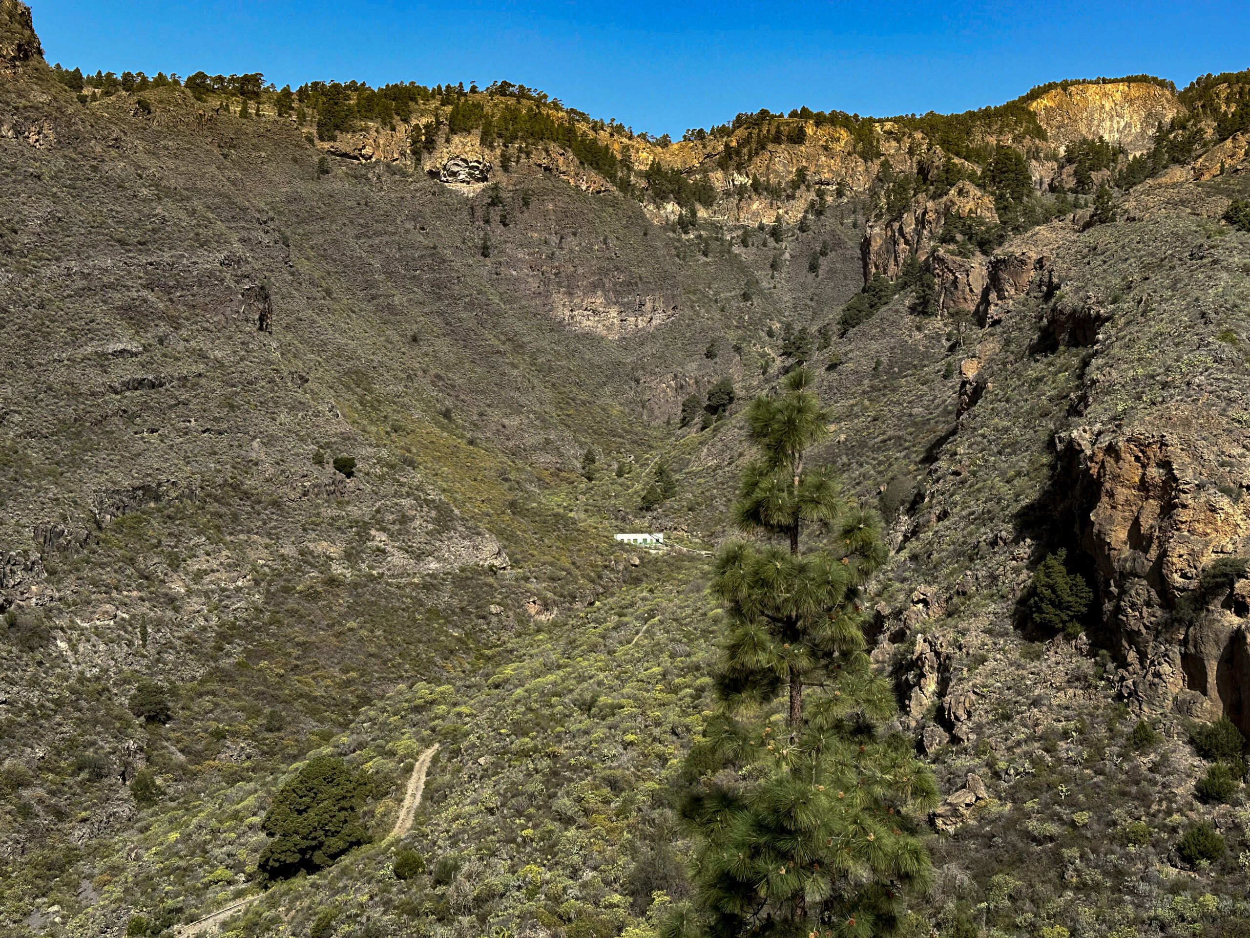 Blick vom Wanderweg auf eine Galeria in der Schlucht