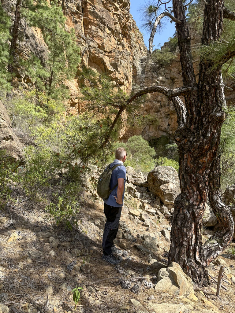 Senderista en la ruta de senderismo por encima del Barranco el Seco
