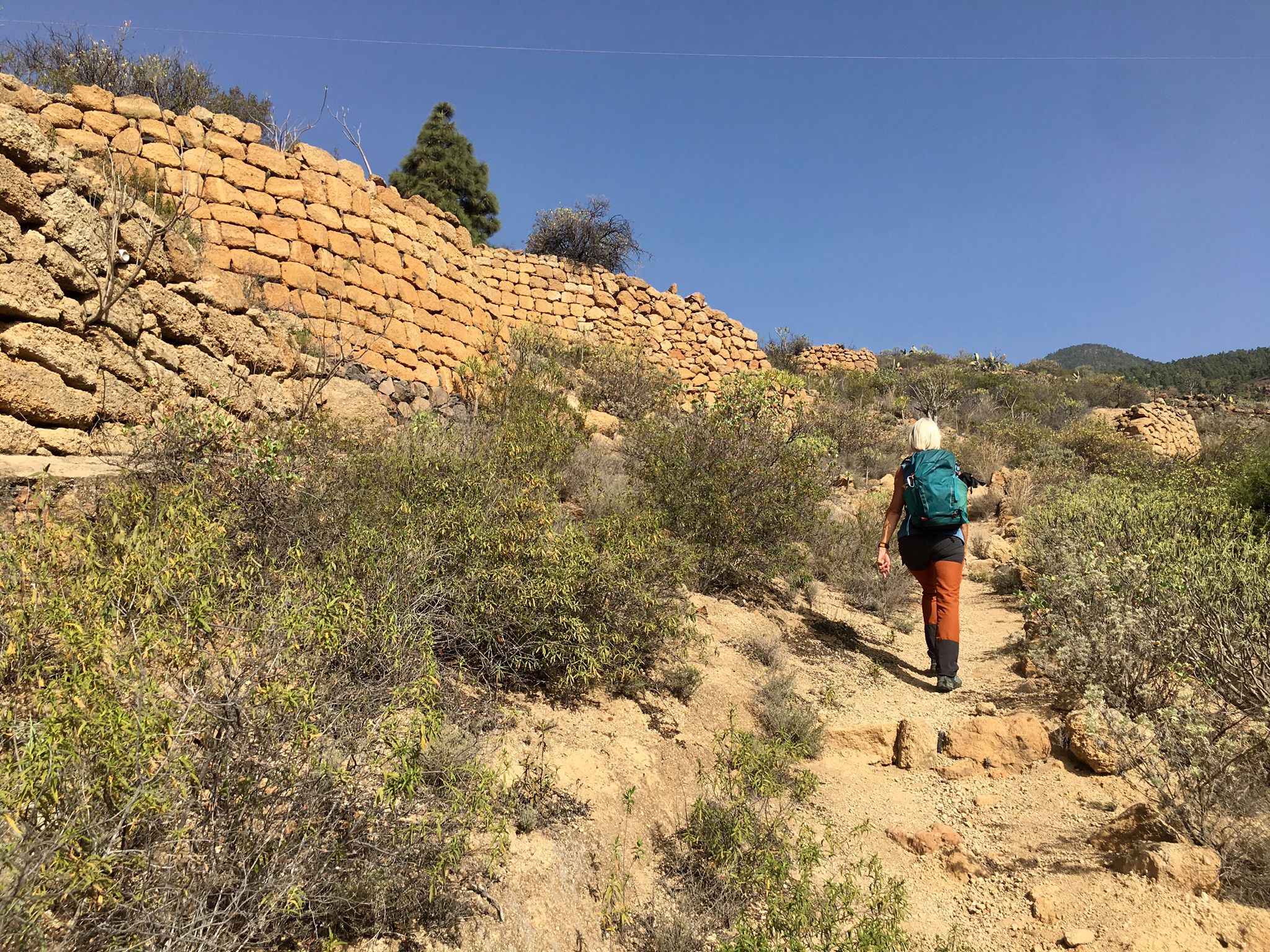 Hiking along old walls above Arico Viejo