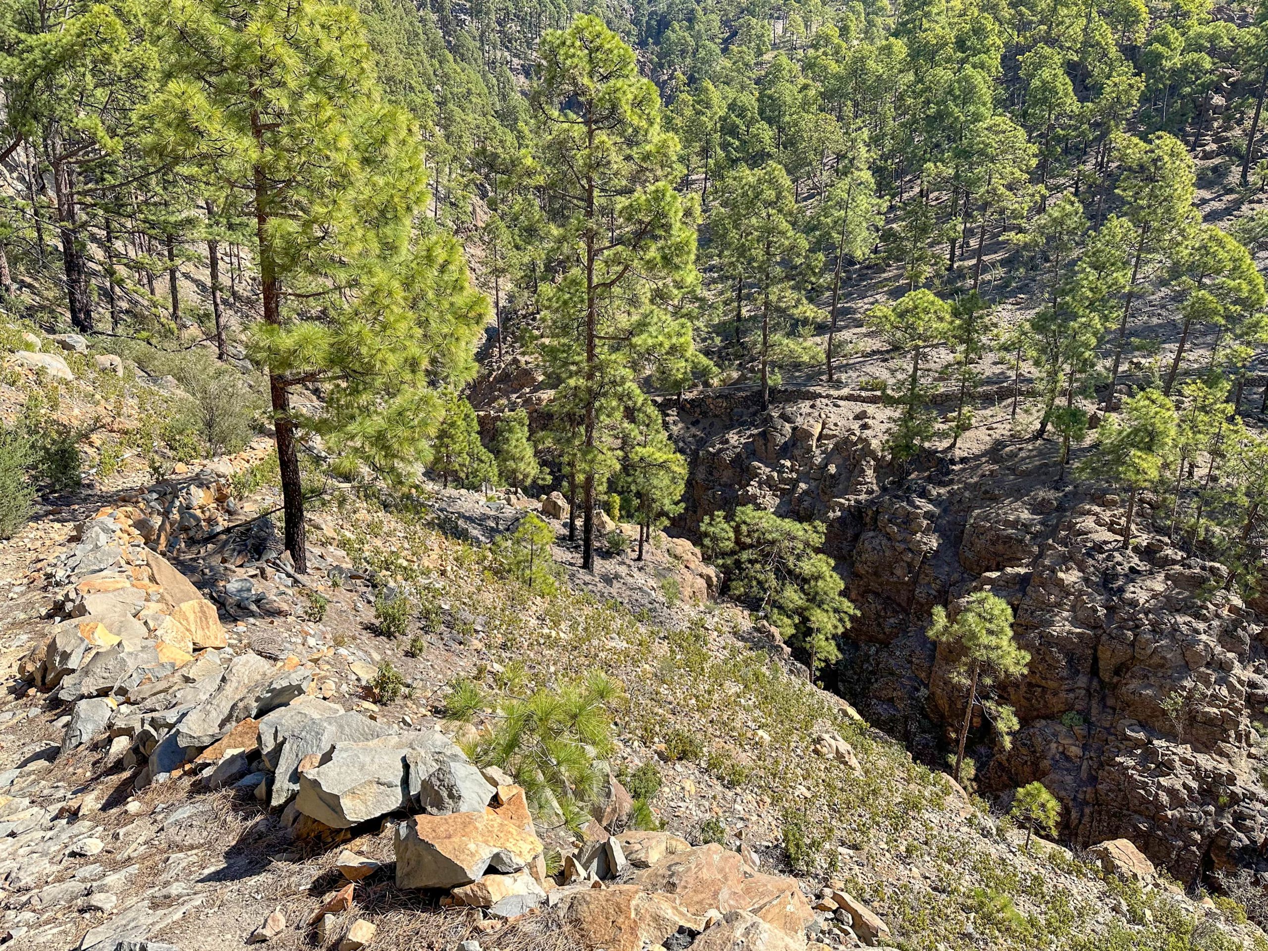 Ruta de senderismo por debajo de Las Lajas con cruce de un pequeño barranco
