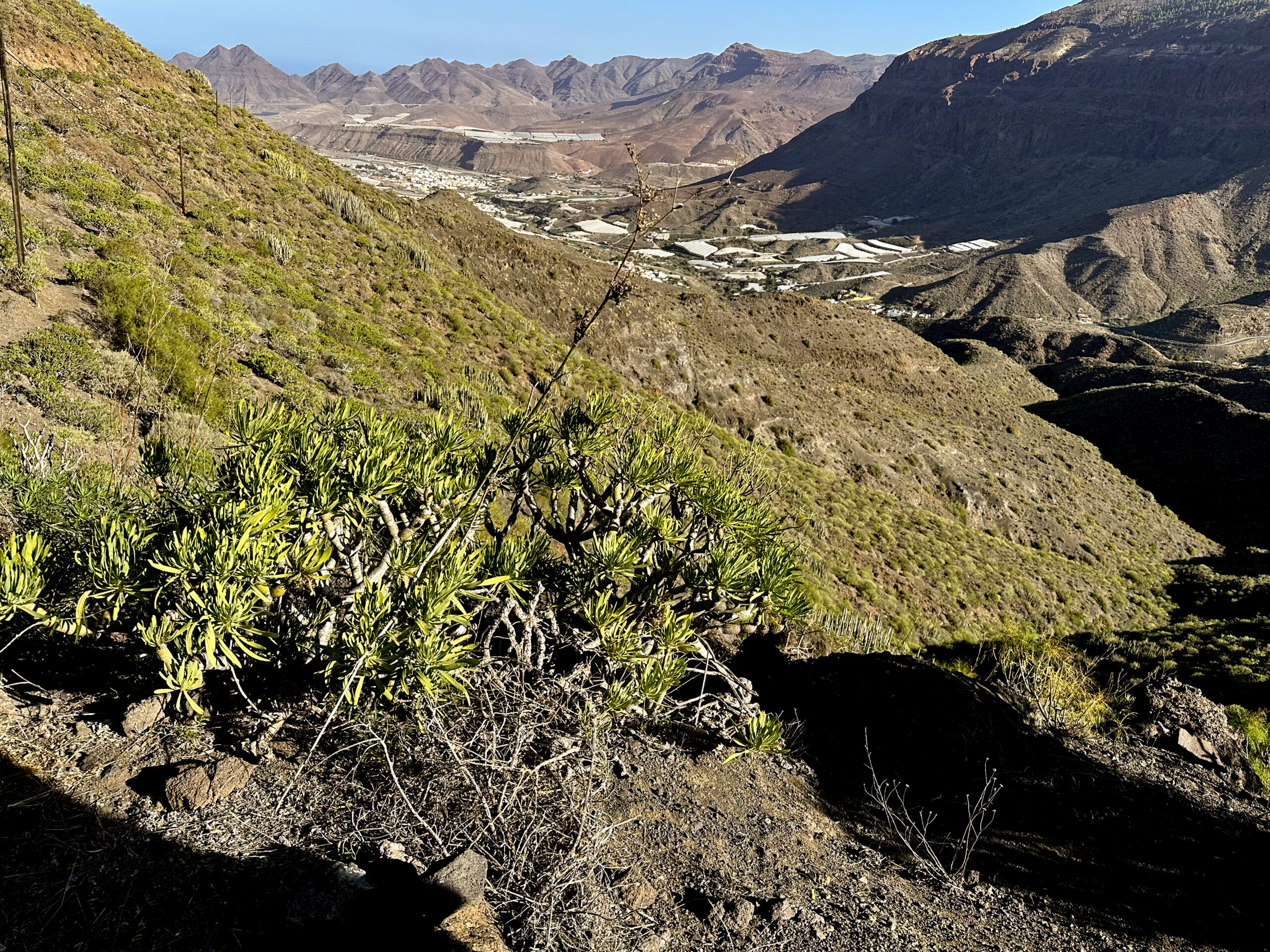 View from the hiking trail down to Aldea de San Nicolás