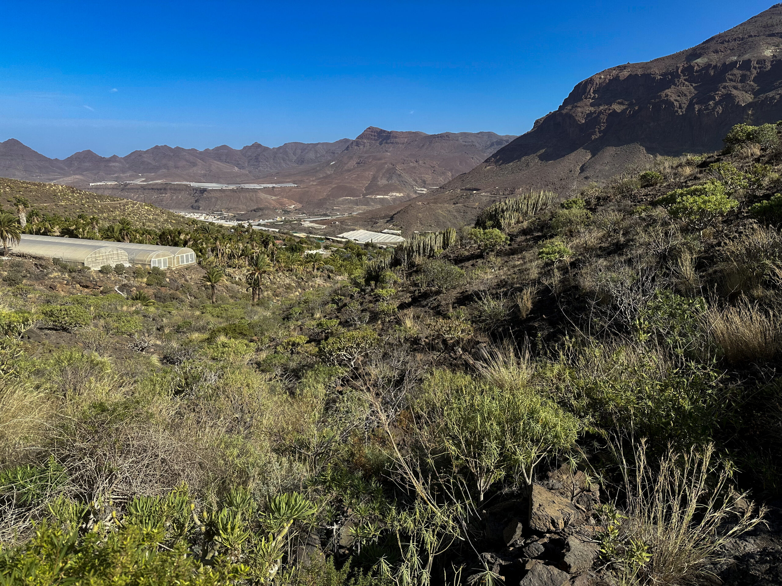 Blick vom Wanderweg auf Aldea de San Nicolás