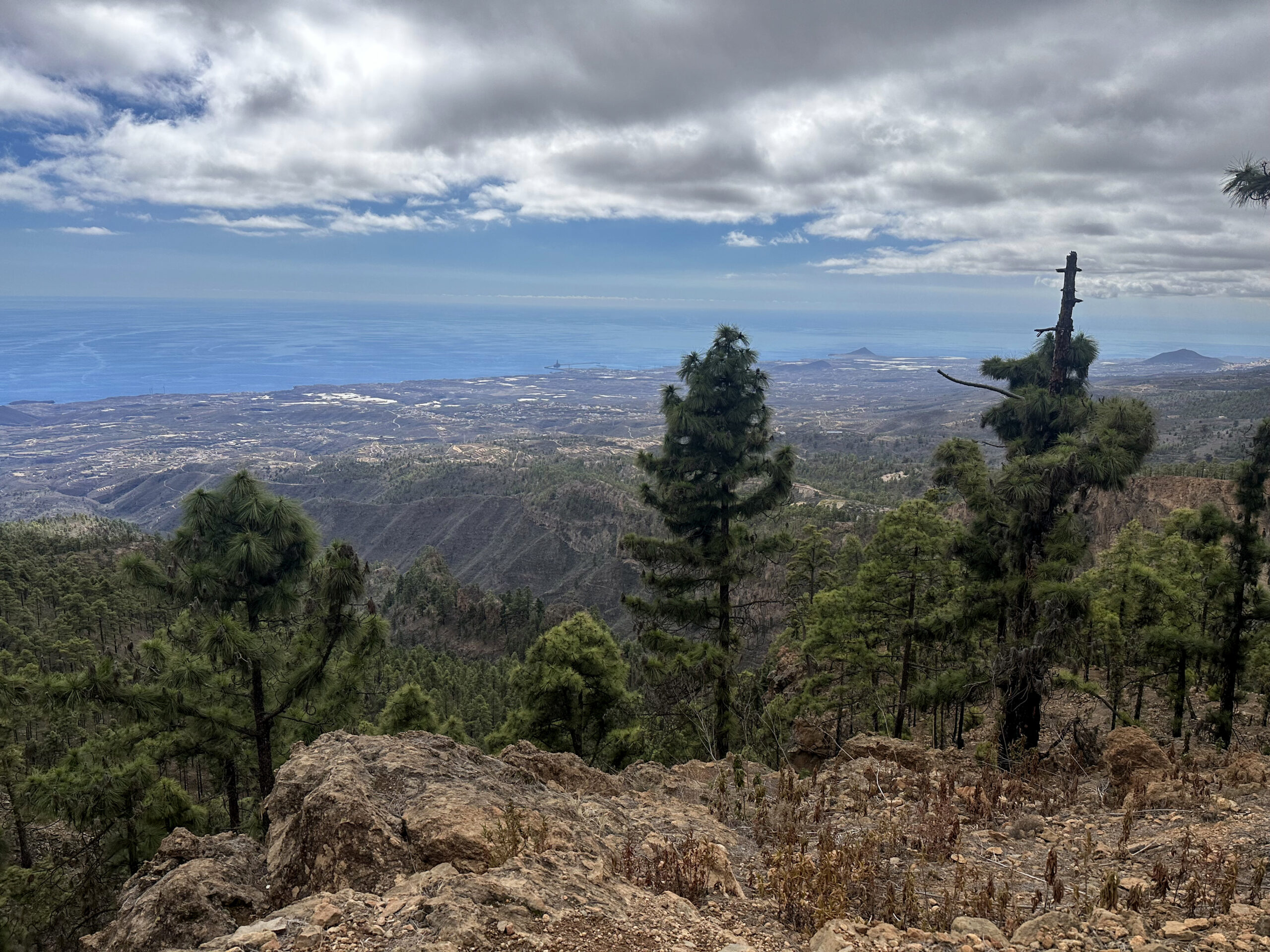 Blick aus der Höhe auf die Ostküste von Teneriffa und den gewaltigen Barranco Tamadaya