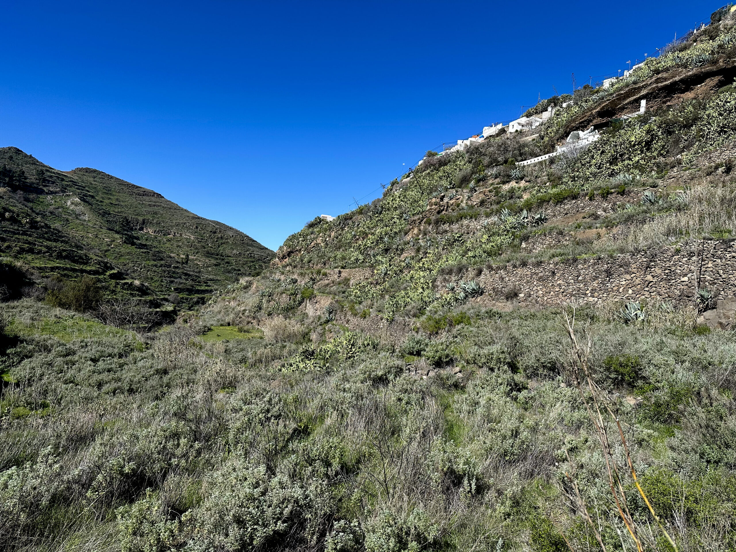 Blick vom Wanderweg im Barranco de Abajo hoch nach El Tablado
