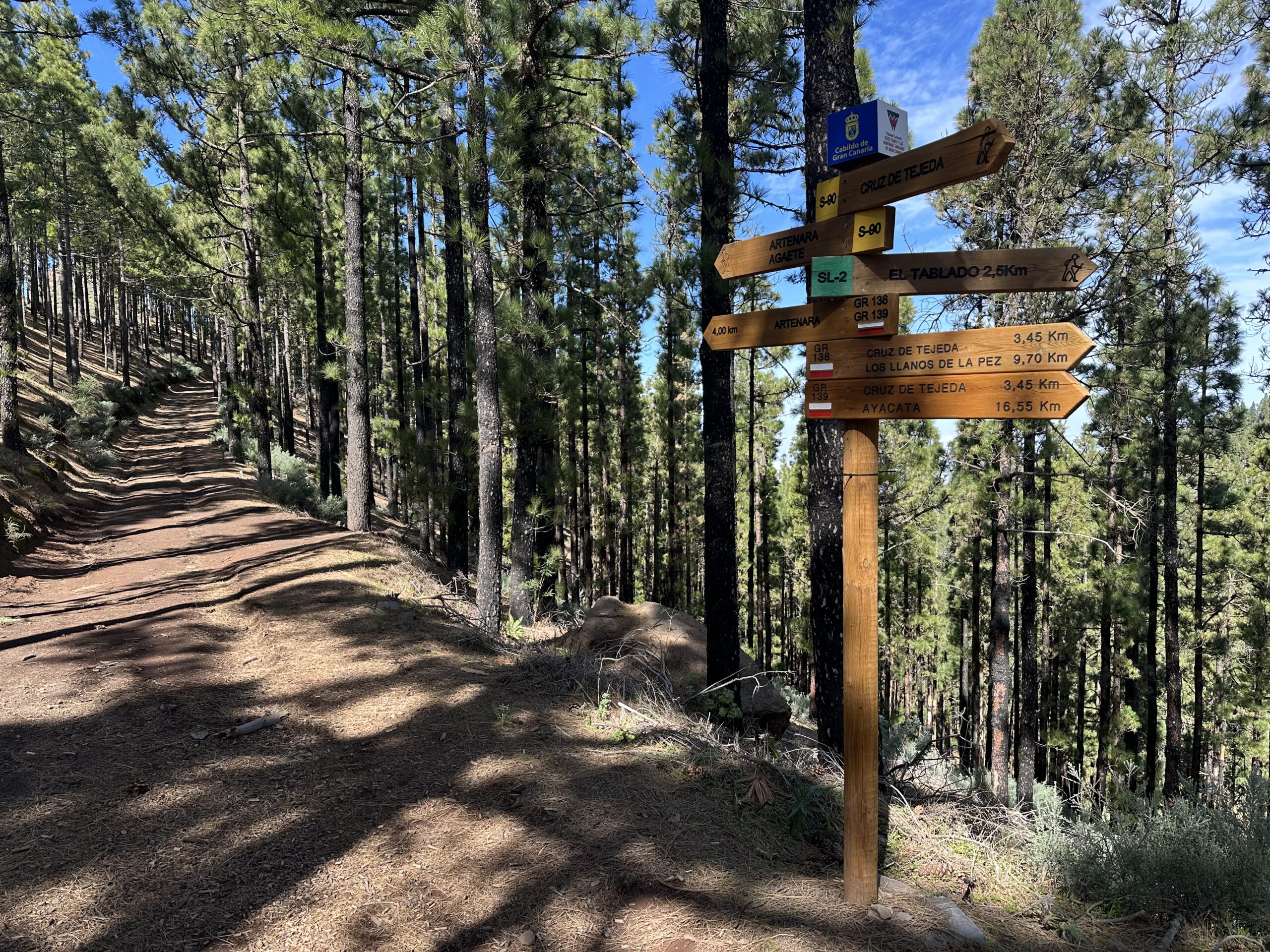 Wanderweg durch den Kiefernwald auf dem Grat in der Nähe der Cuevas de Caballero