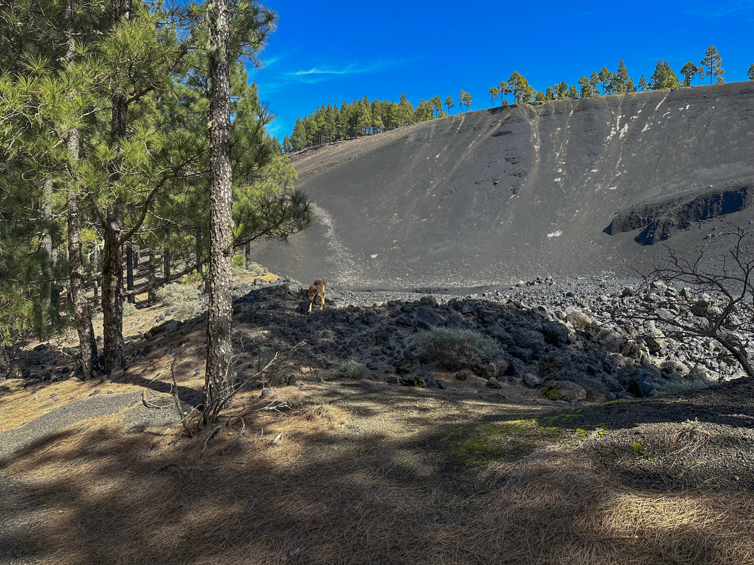Wanderweg durch eine beeindruckende Vulkanlandschaft - Abstiegsweg Cuevas de los Caballeros