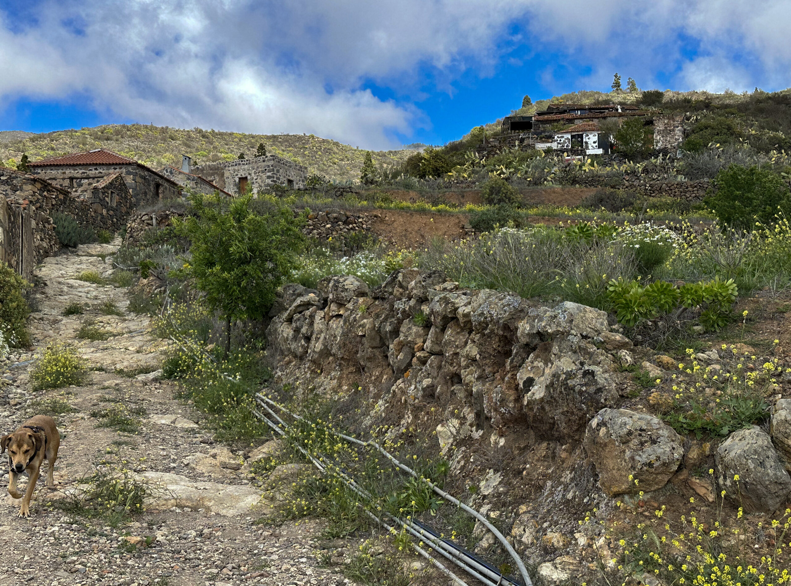 Wanderweg in Las Fuentes