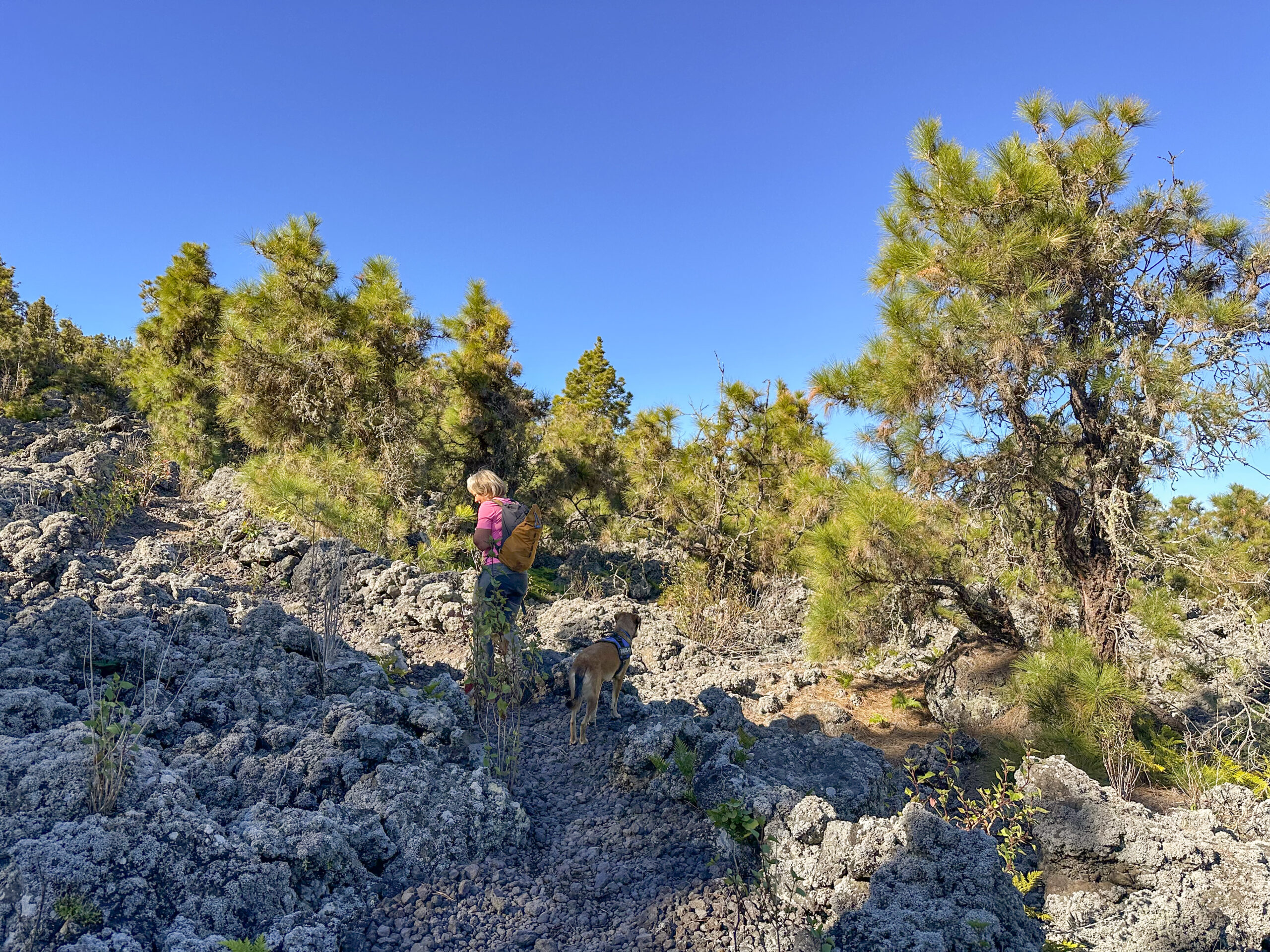 Wanderin auf dem Wanderweg durch Vulkanstein zwischen San Juan de Reparo und La Montañeta