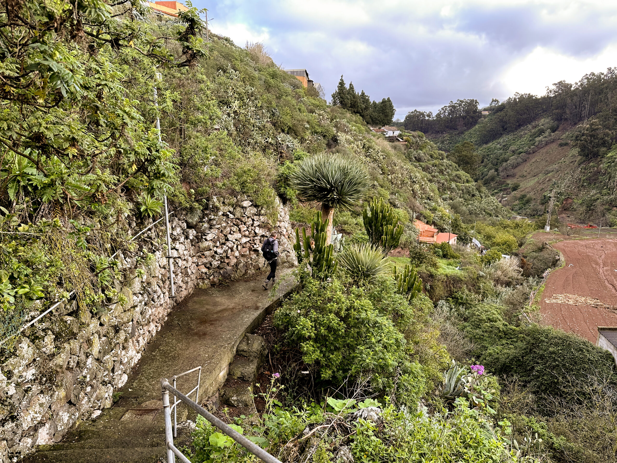 Hiking trail (stairway) below Fontanales towards Reserva Natural Especial de Los Tilos