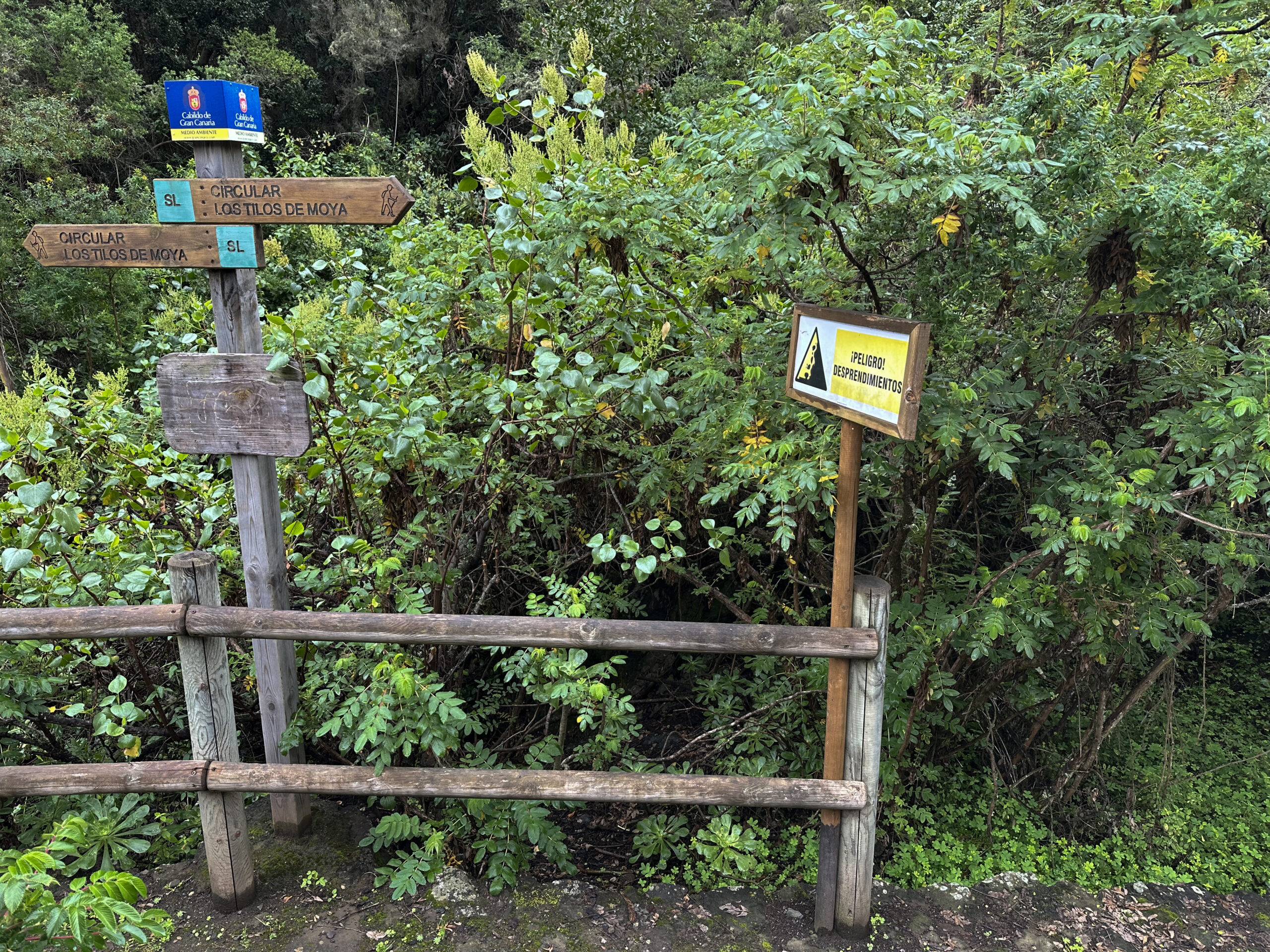 Signposting for the small hiking trail from the information centre - Circular Los Tilos (SL) Laurisilva
