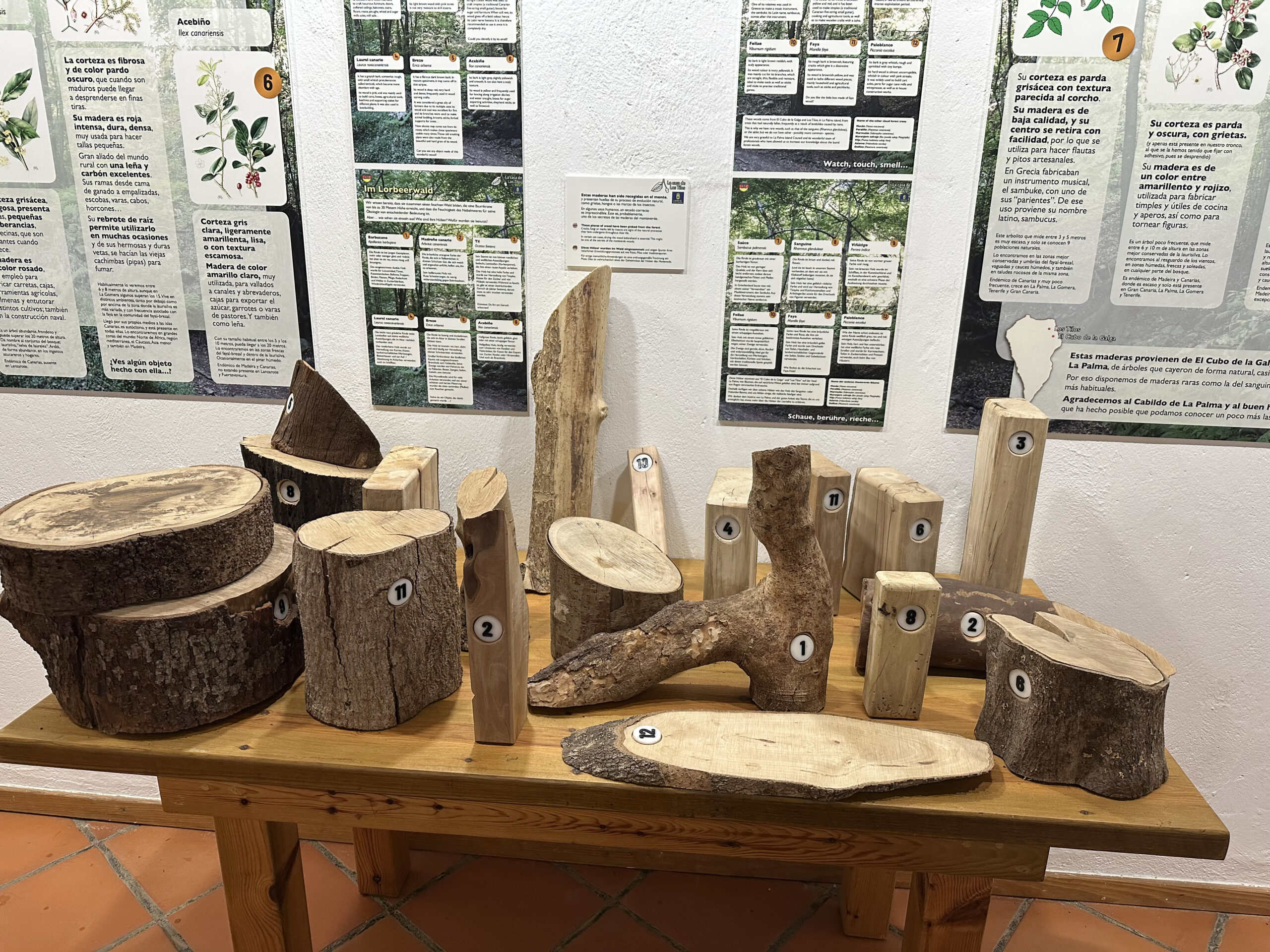 Casa Los Tilos information centre - exhibition rooms with interesting exhibits