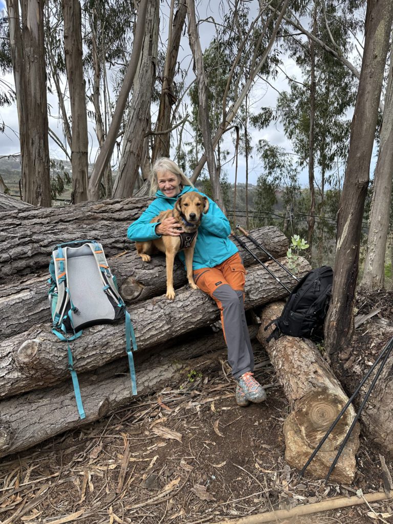 A short break in the forest with my lovely hiking dog Falko