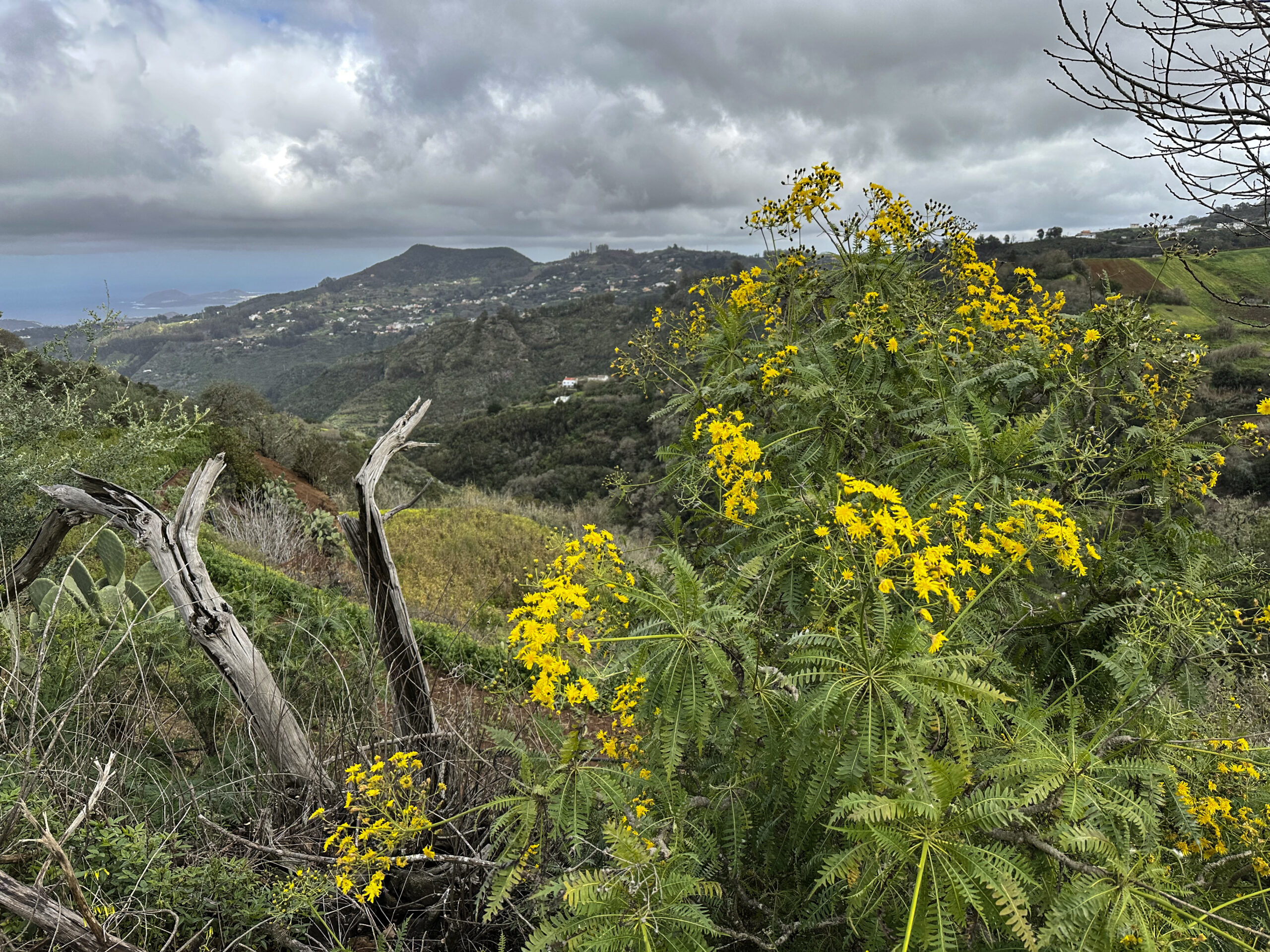 Hiking through small Canarian hamlets with wonderful views - on the way back to Fontanales