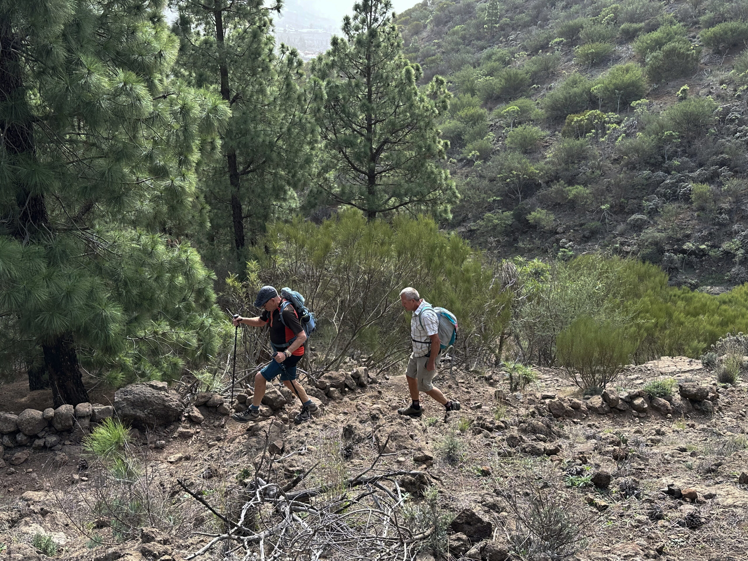 Hikers on the ascent path via Santiago del Teide to Degollada de Mesa