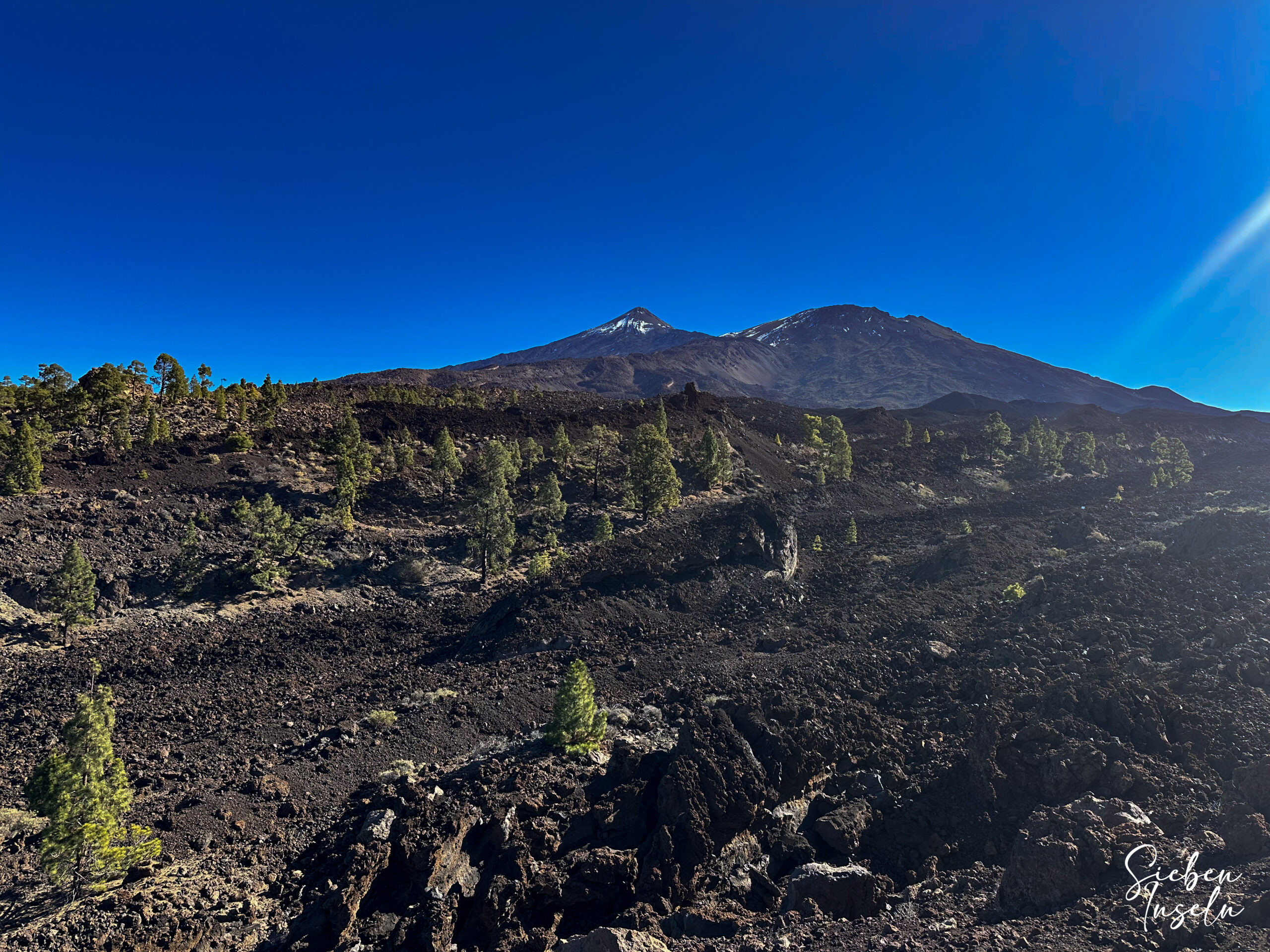 Lavafelder, Kiefern, Teide und Pico Viejo