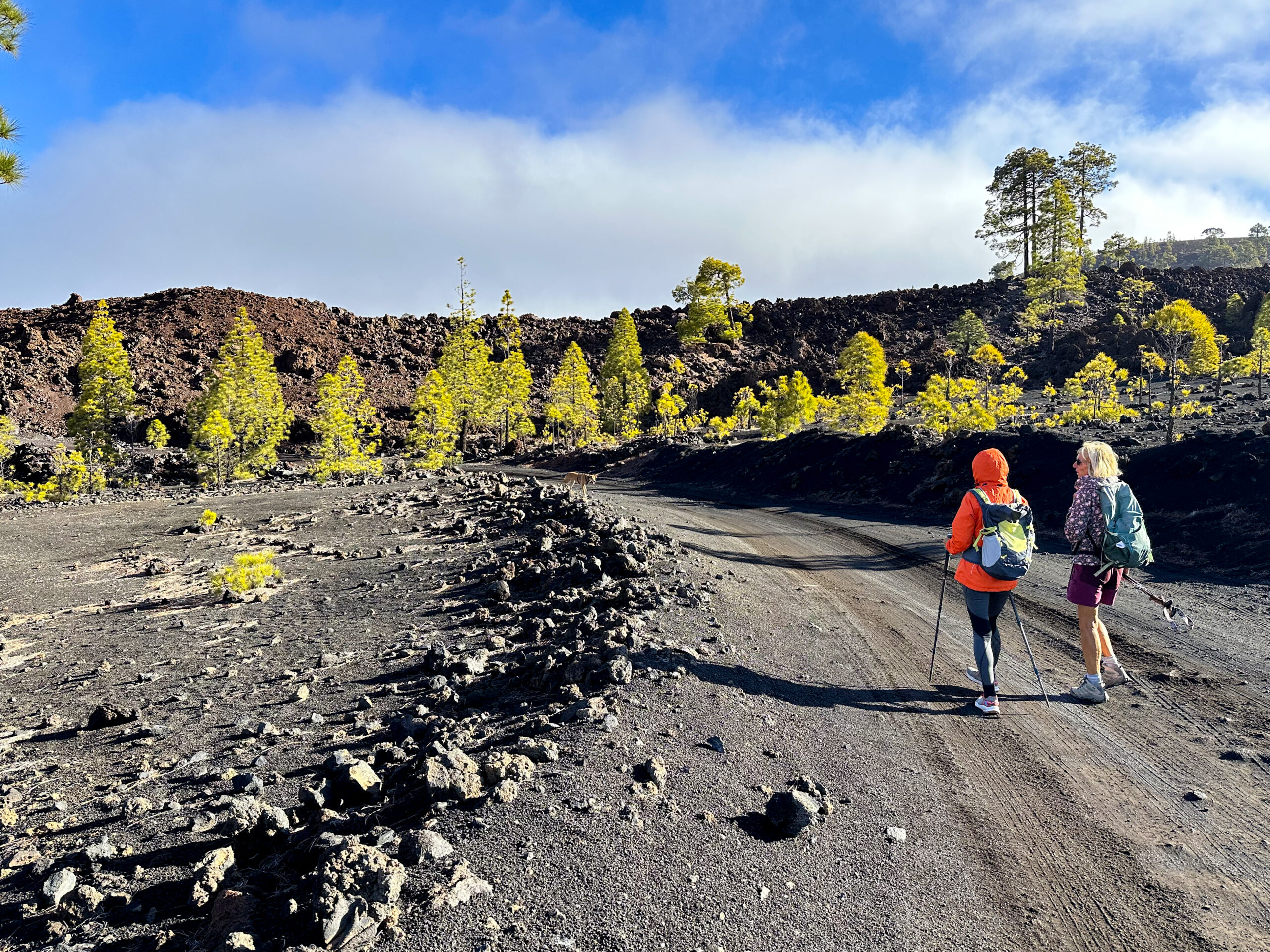 Wanderinnen auf der Vulkanroute