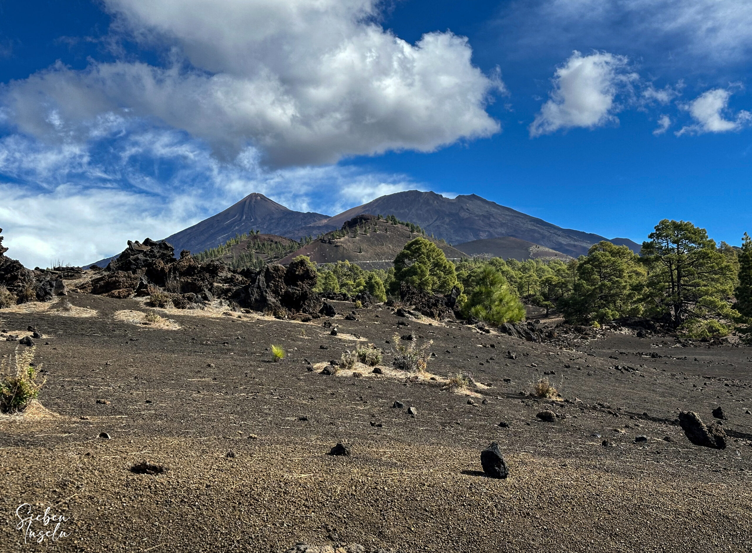 Blick auf Teide und Pico Viejo