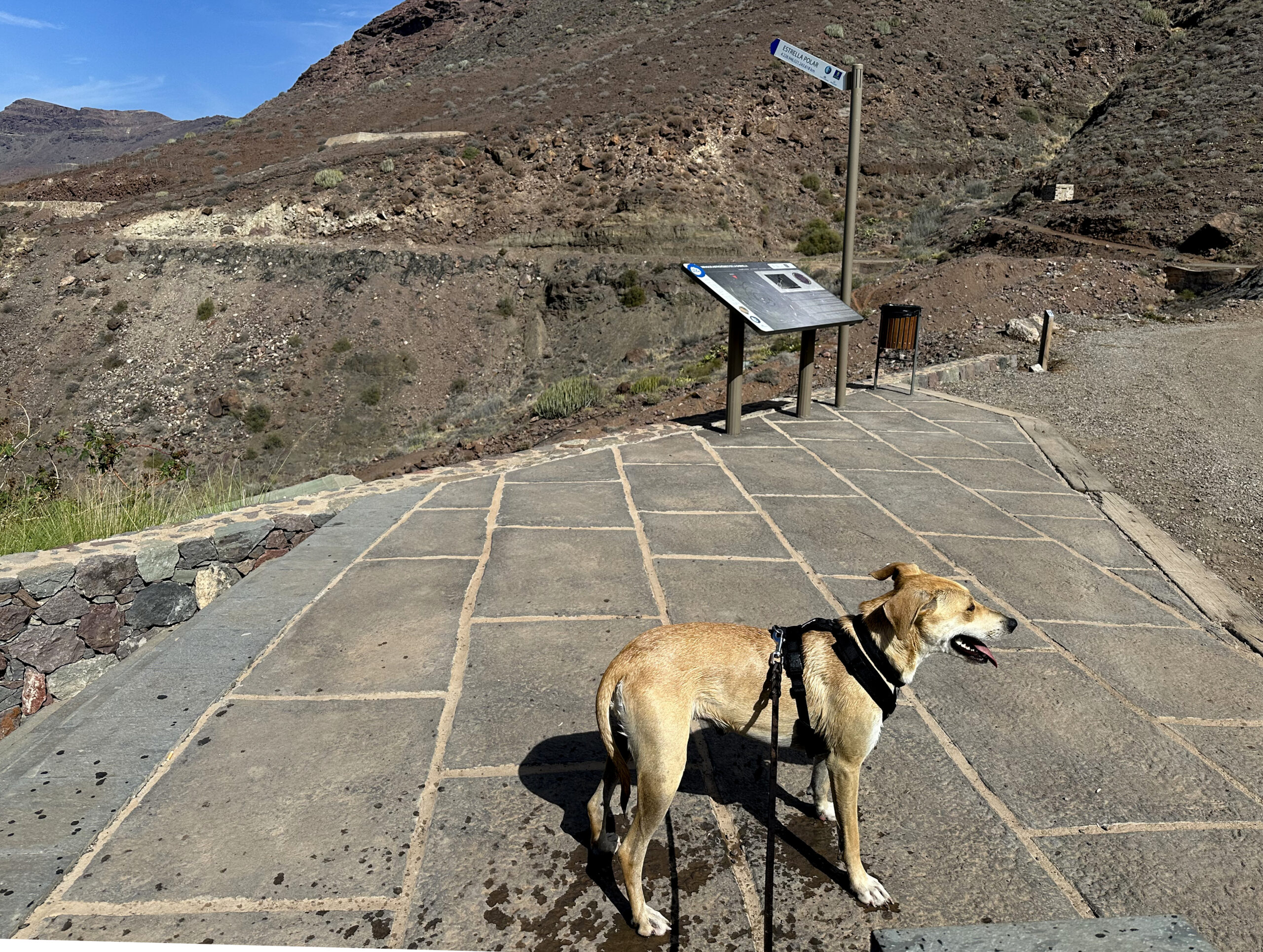 at the Mirador de Canal