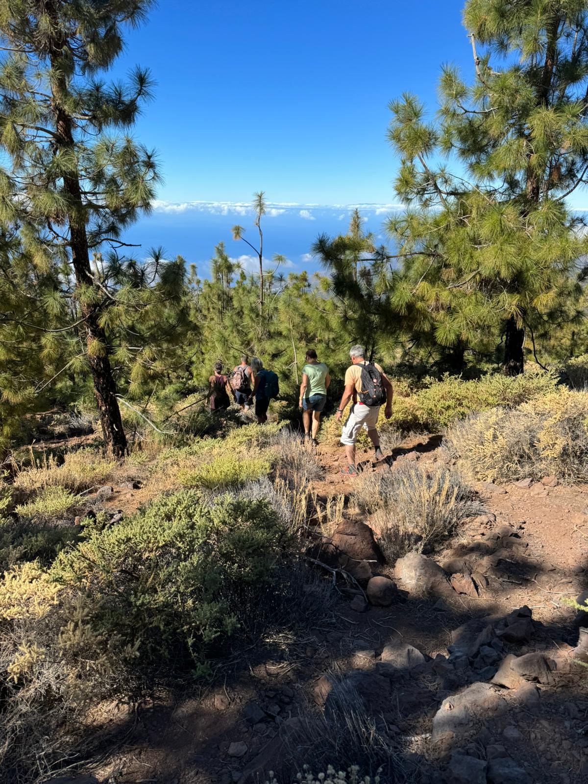 Hikers on the trail through the forest on the back of Montaña el Cedro