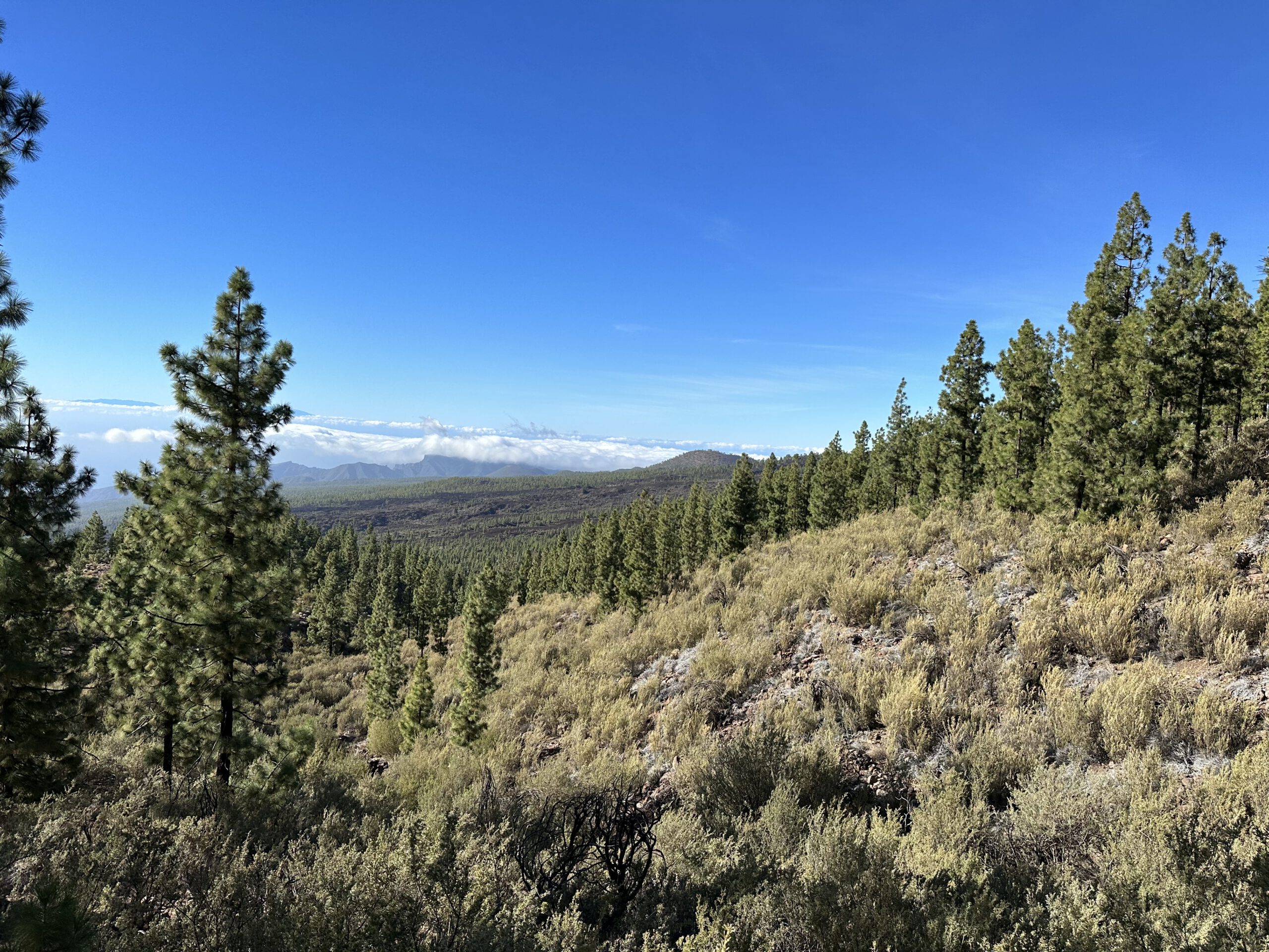 Ausblick vom Rundweg