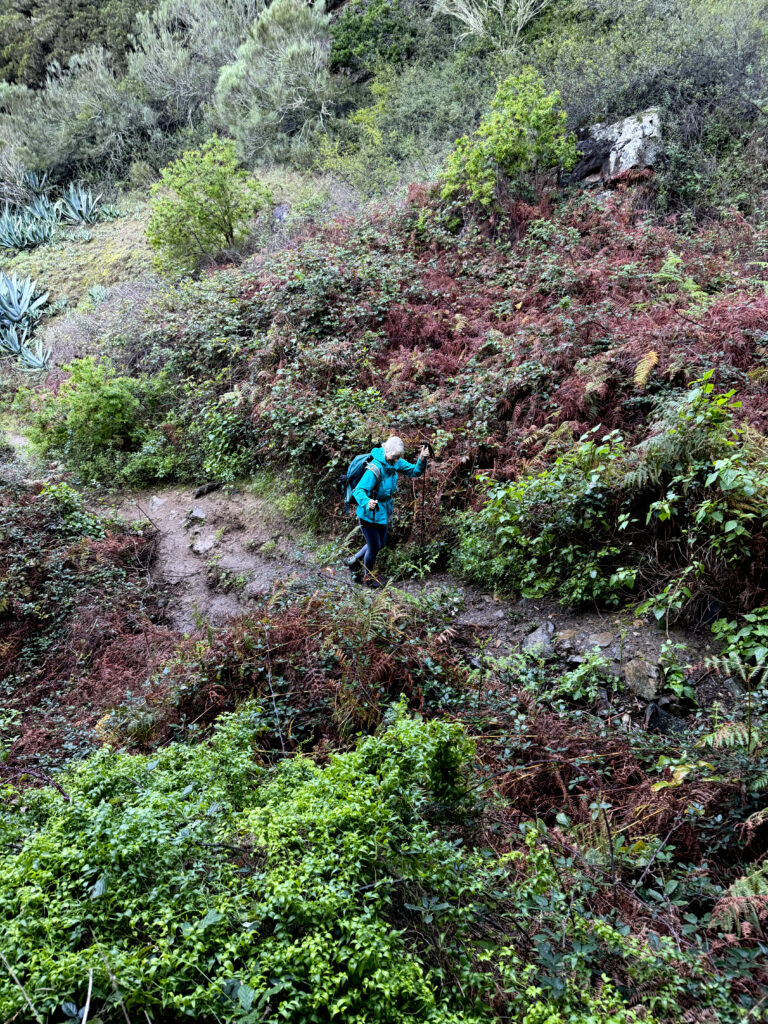 Aufstiegsweg durch die Schluchten oberhalb von Tazo Richtung Epina