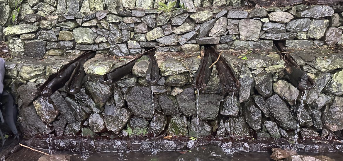 Die Chorros de Epina - "magische" Quellen