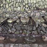 Die Chorros de Epina - "magische" Quellen